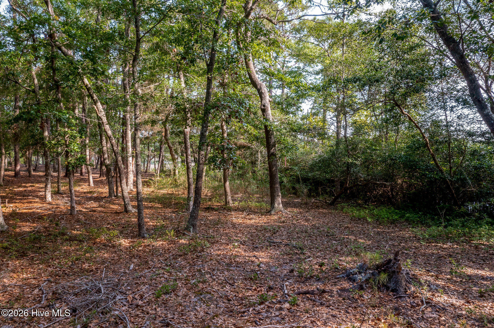 main property photo 25