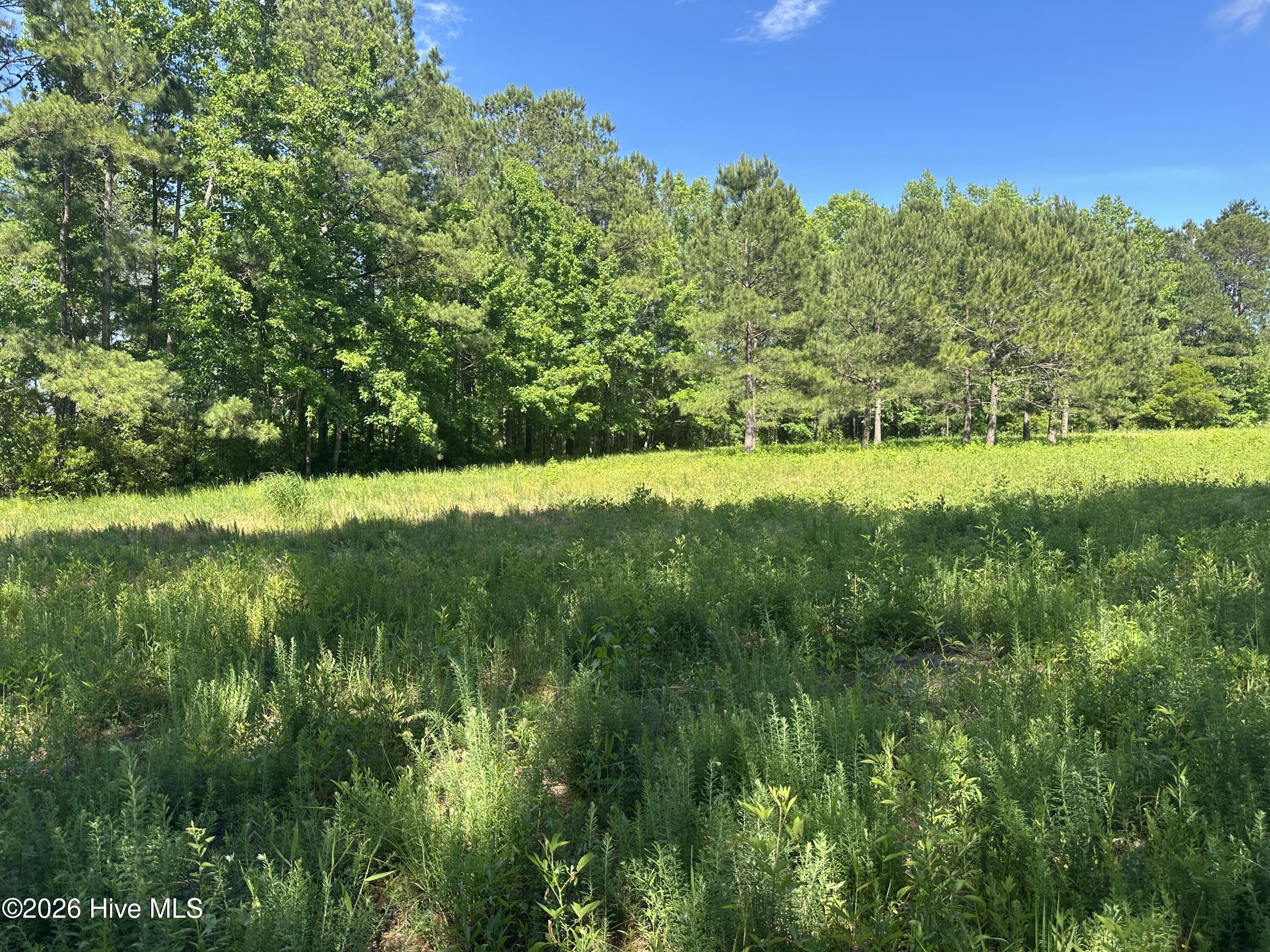main property photo 4