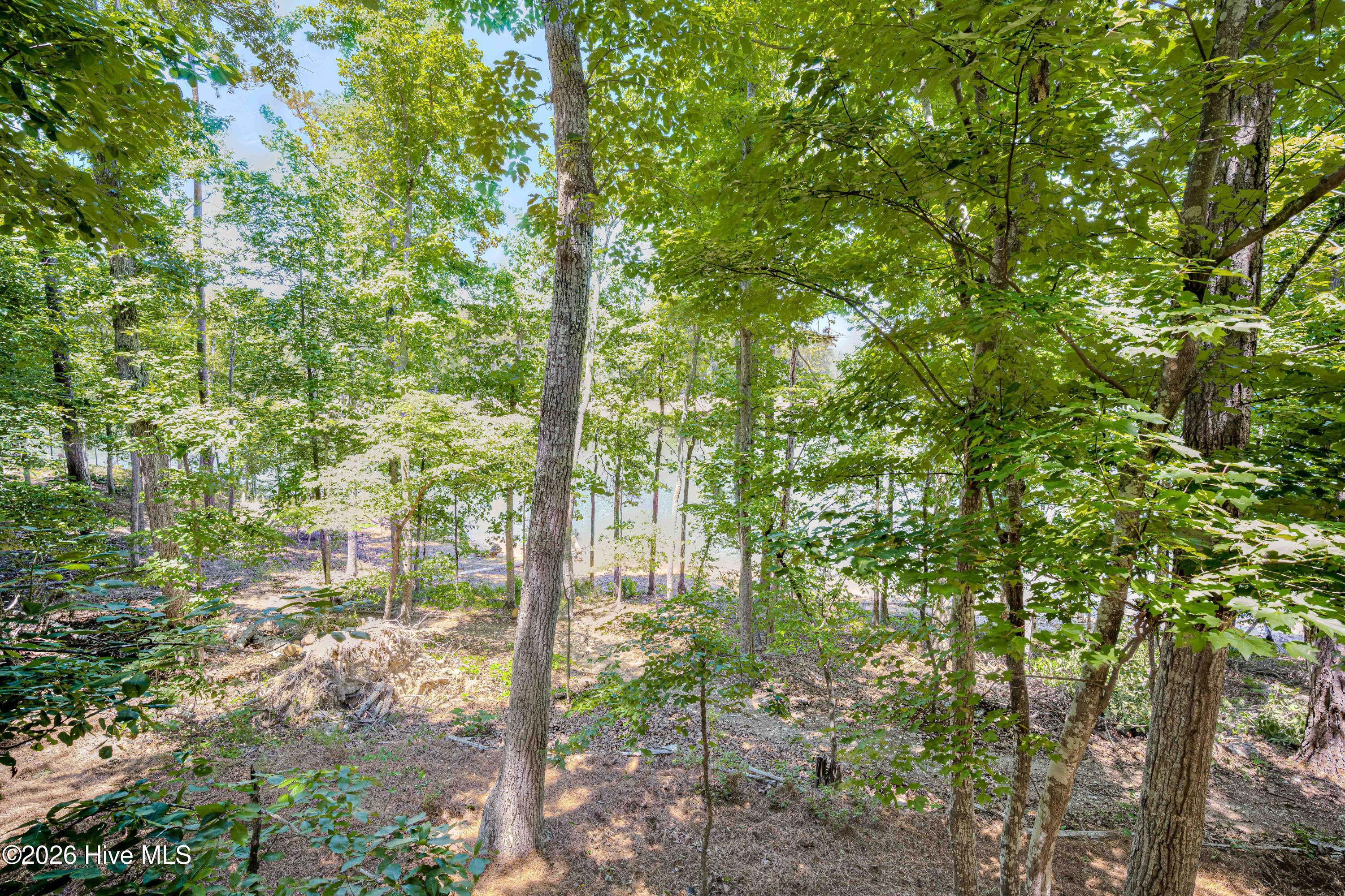 main property photo 85