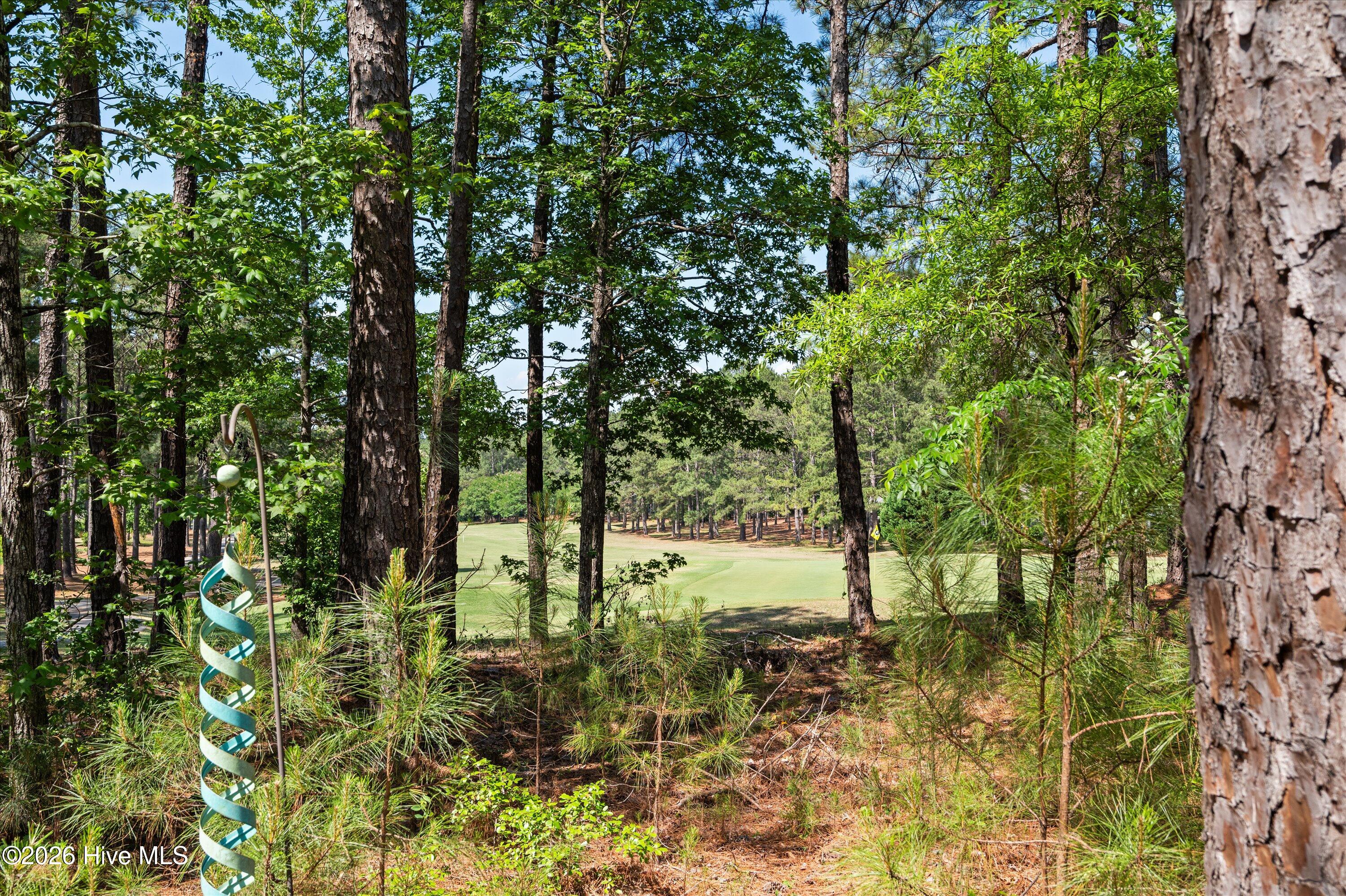main property photo 55