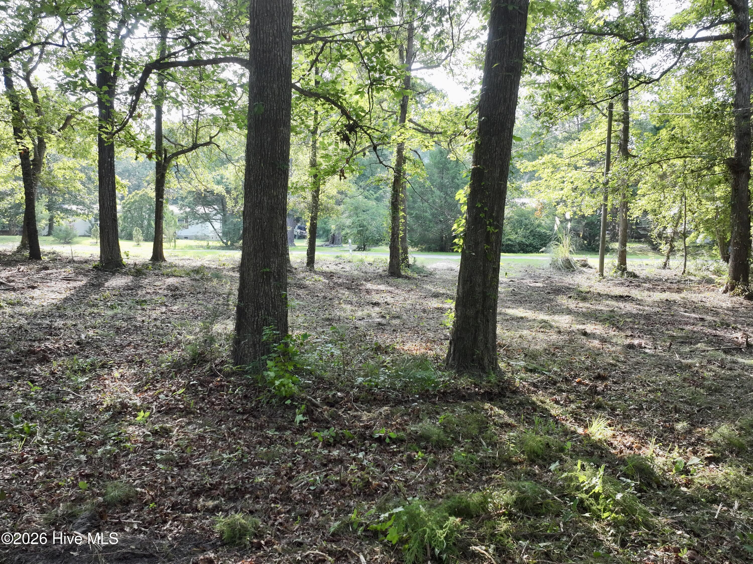 main property photo 20