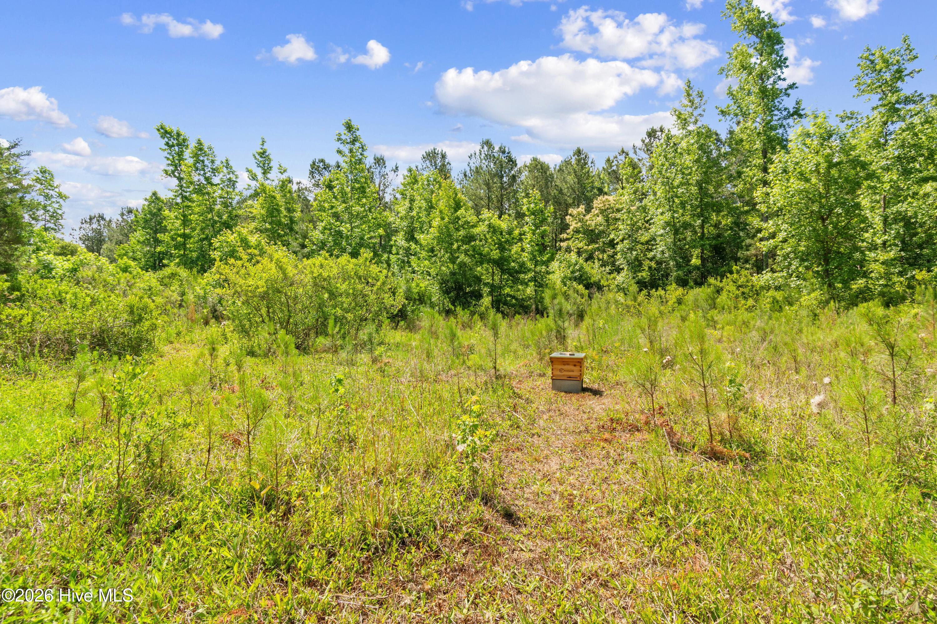 main property photo 25