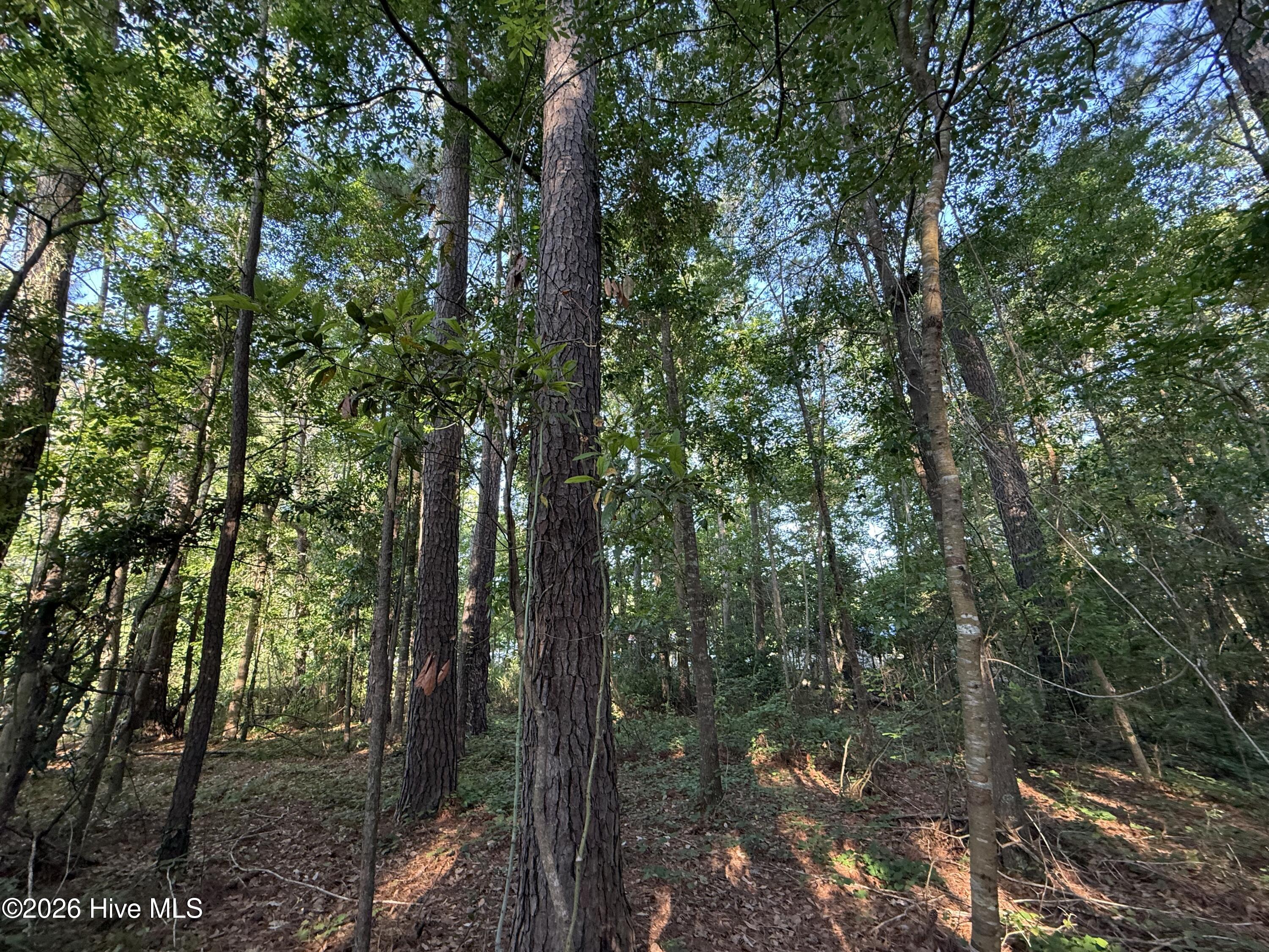 main property photo 15