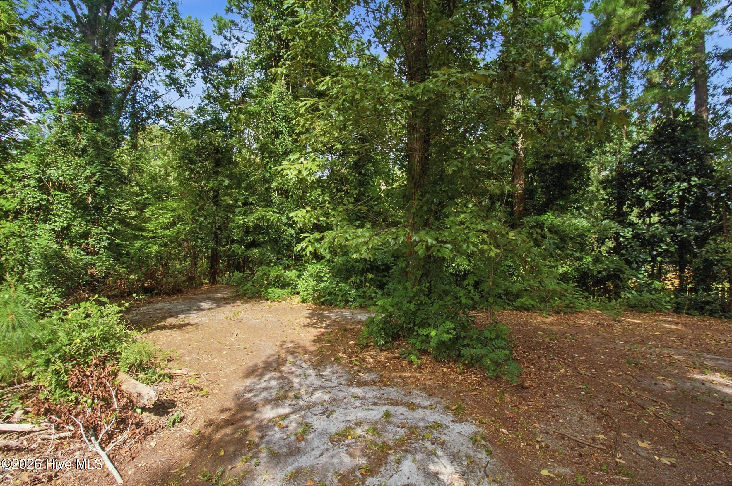 main property photo 53