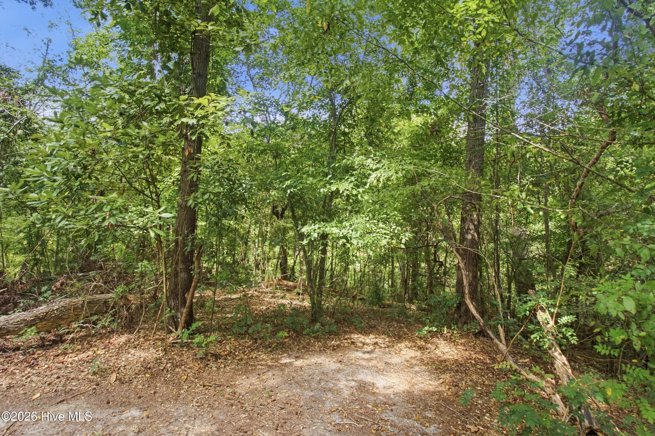 main property photo 54