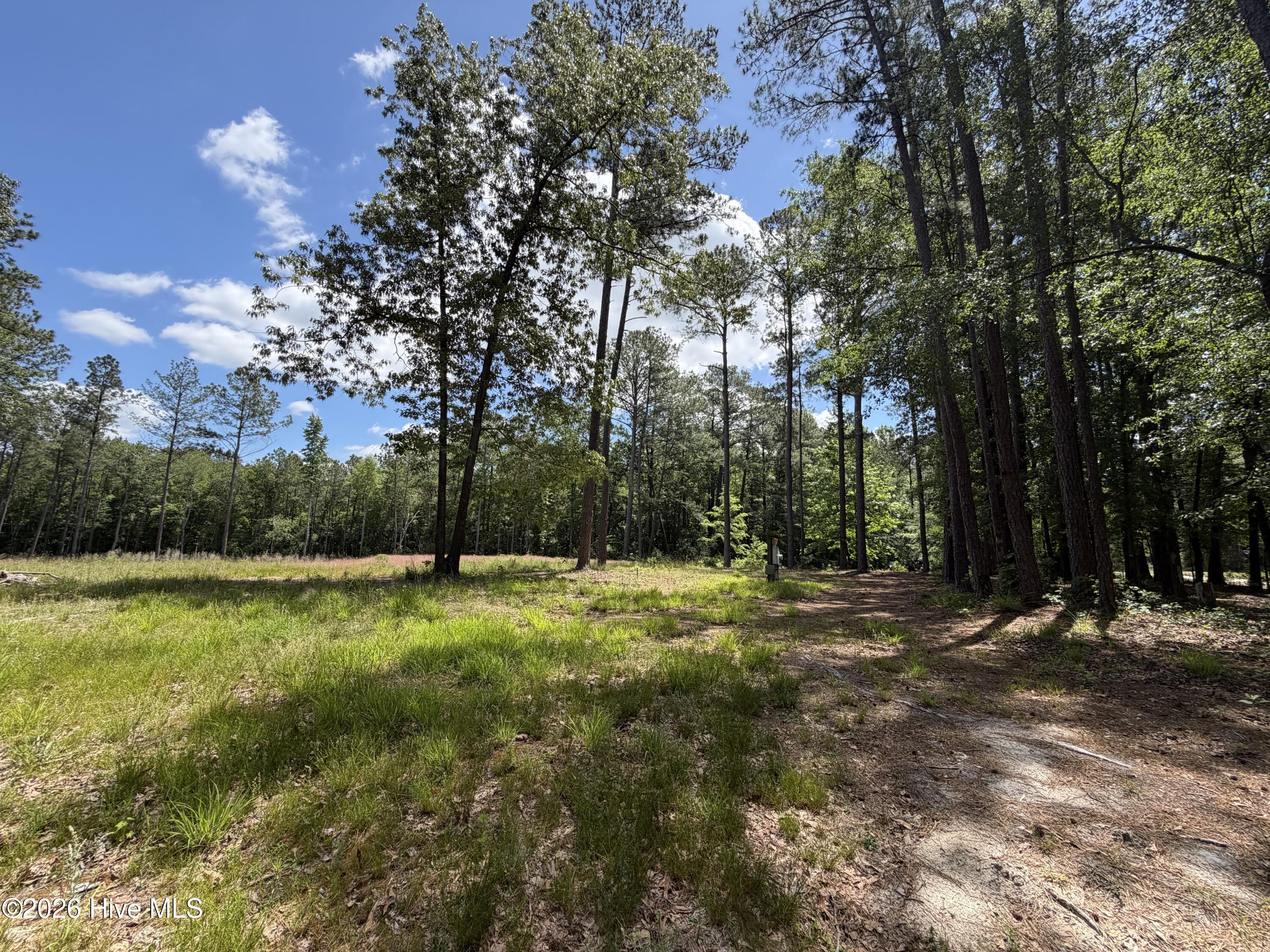 main property photo 10