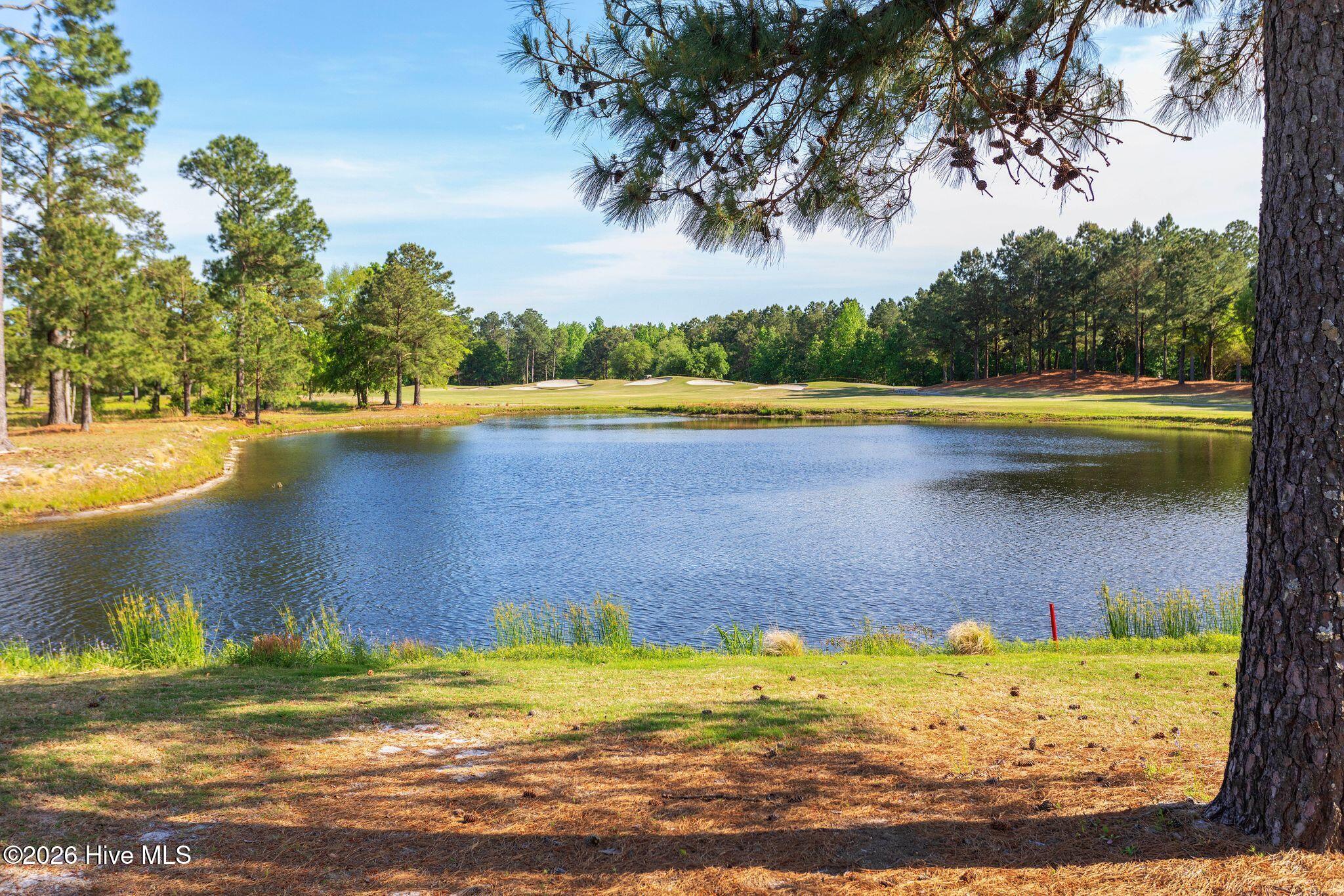 main property photo 62