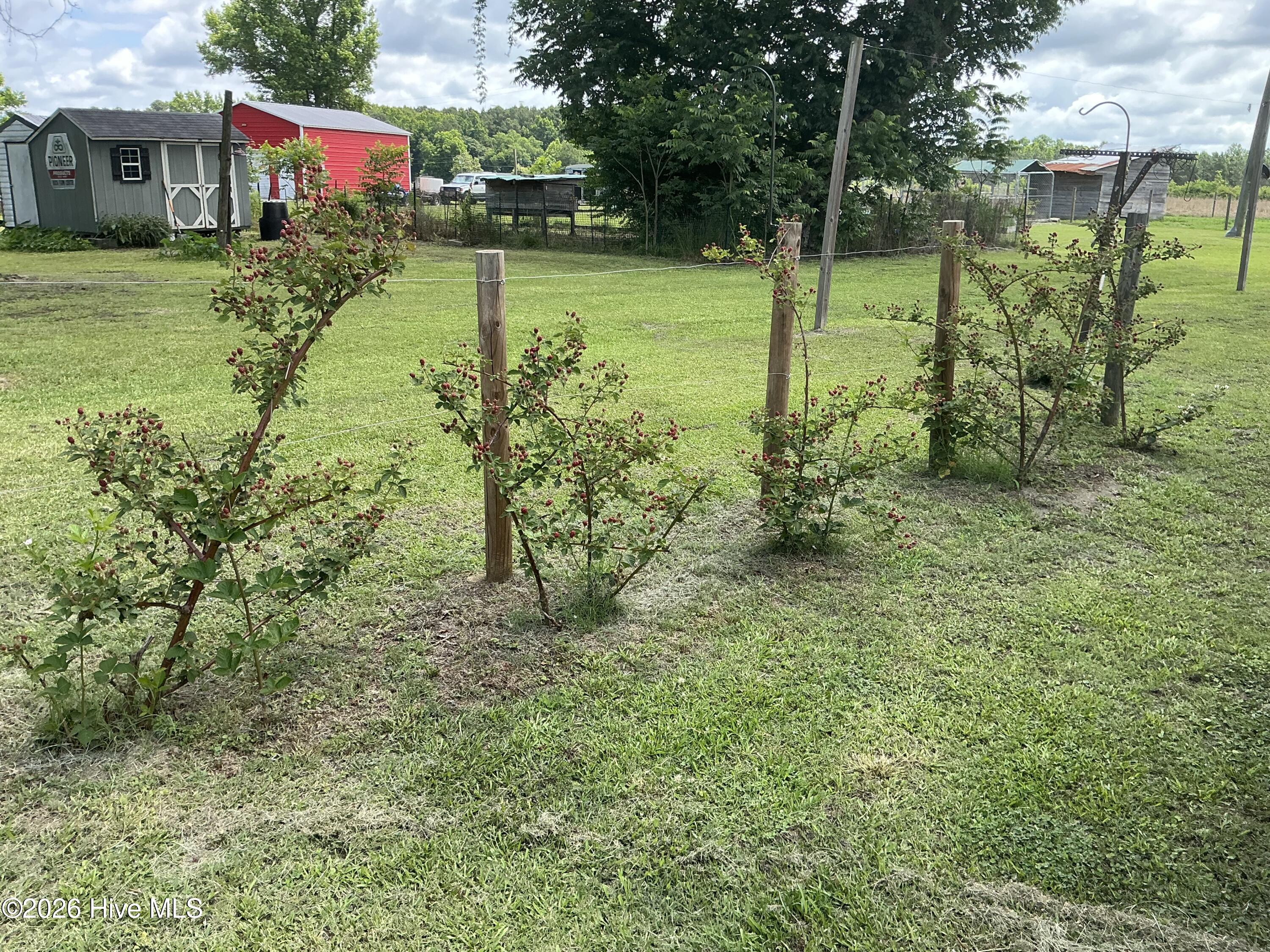 main property photo 19