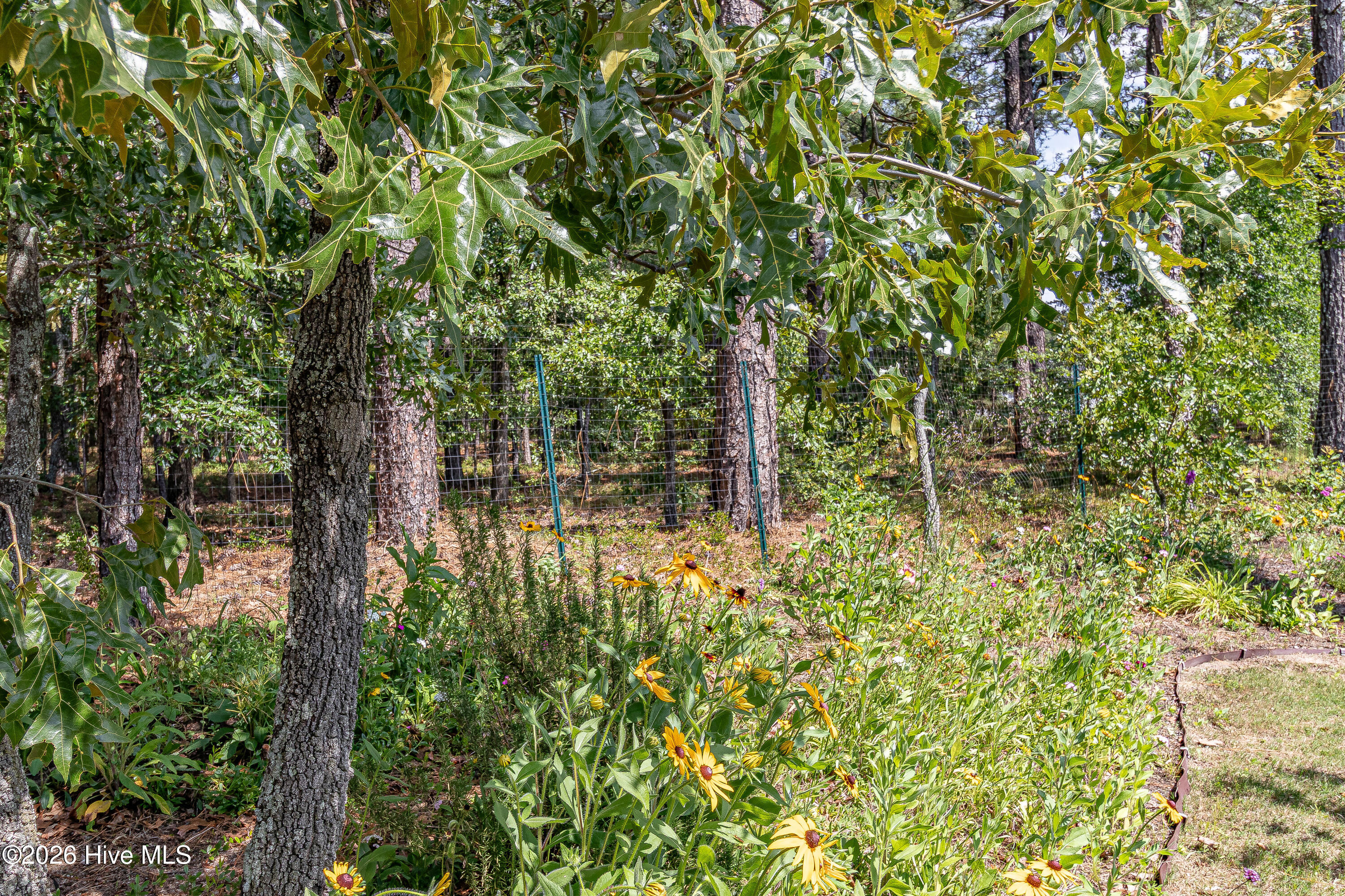 main property photo 29