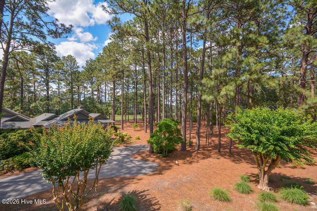 main property photo 61