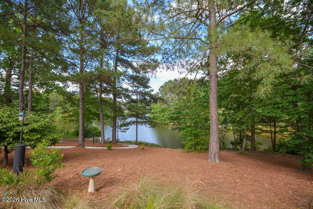main property photo 98
