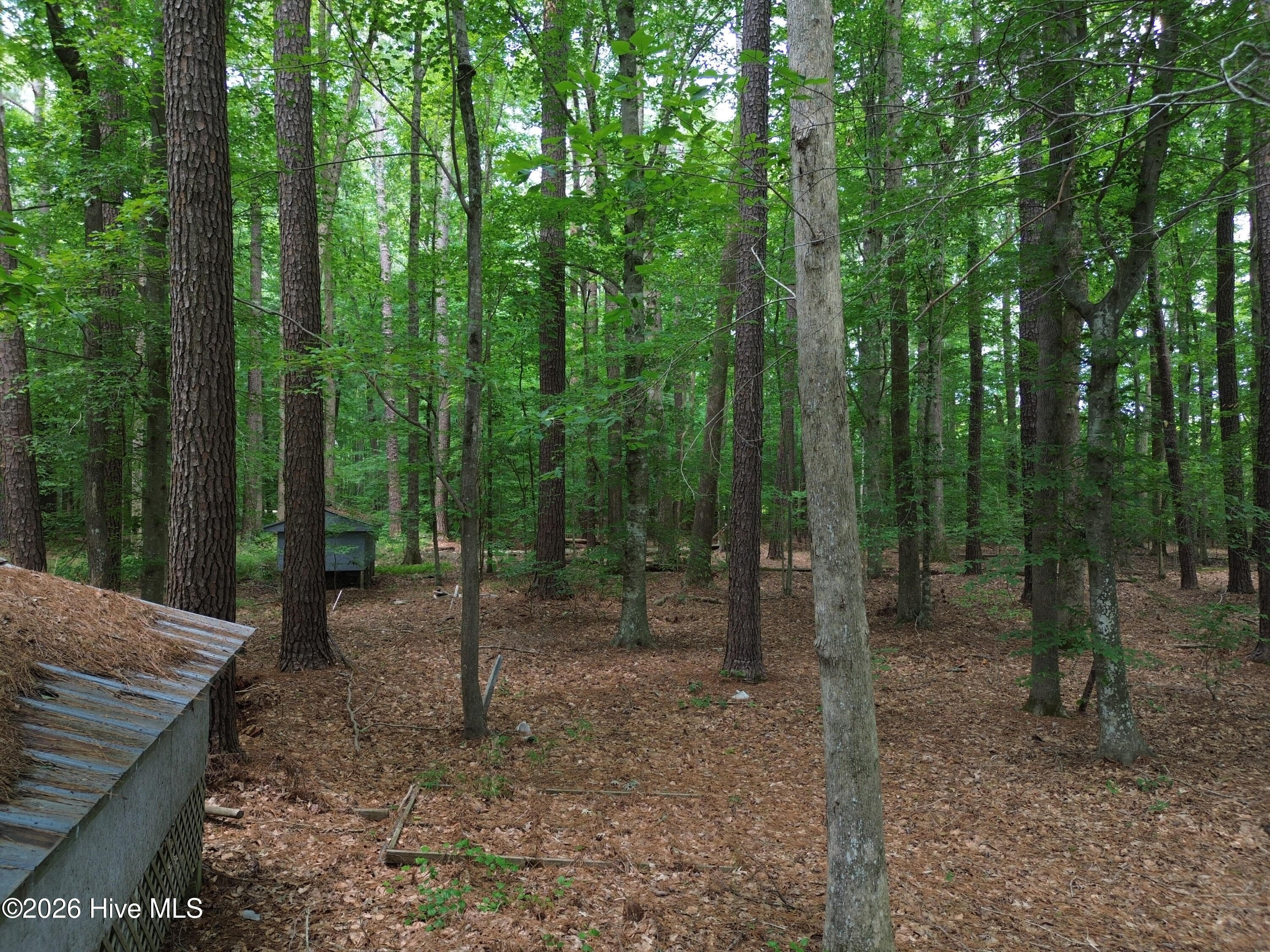 main property photo 61