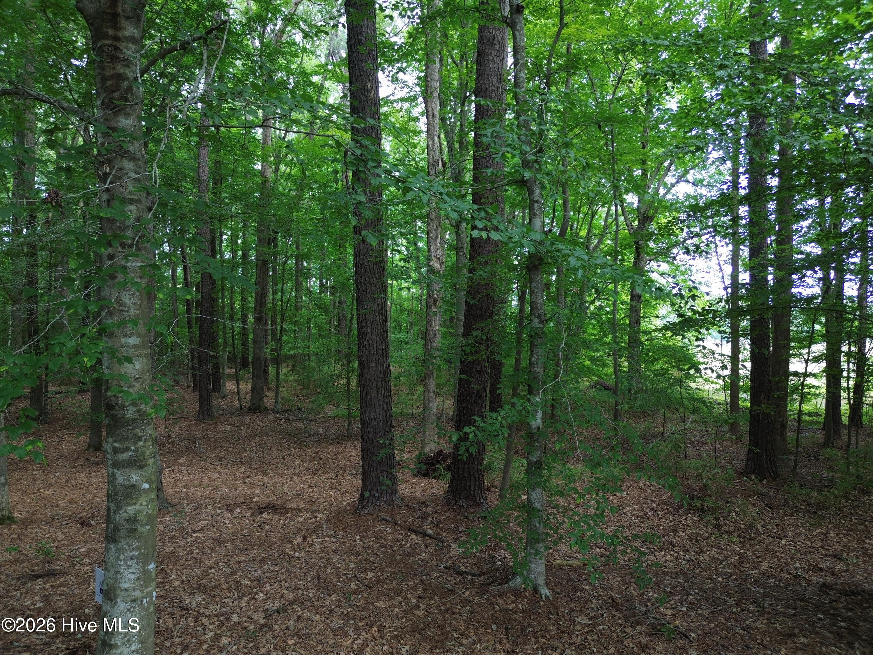 main property photo 62