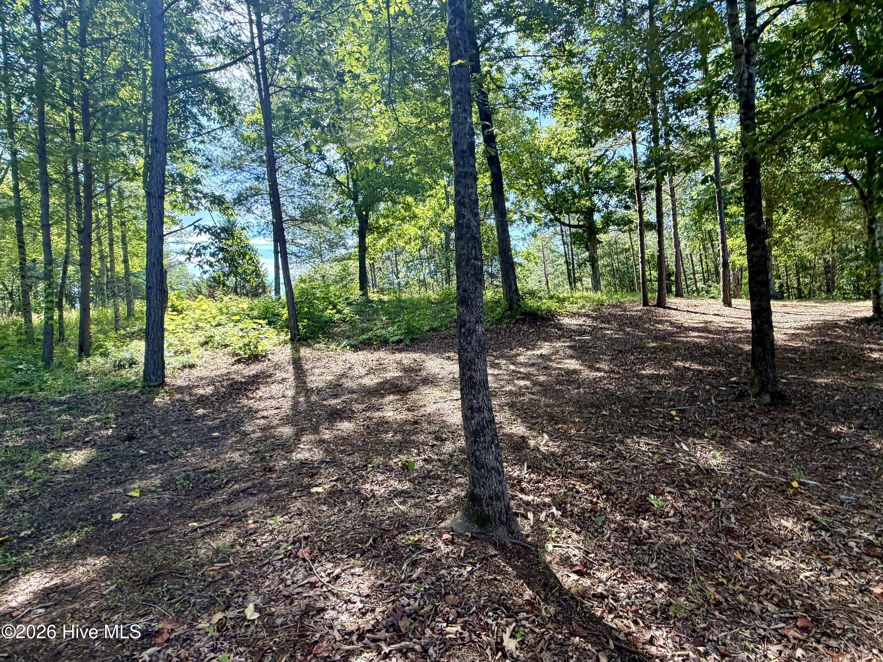 main property photo 38
