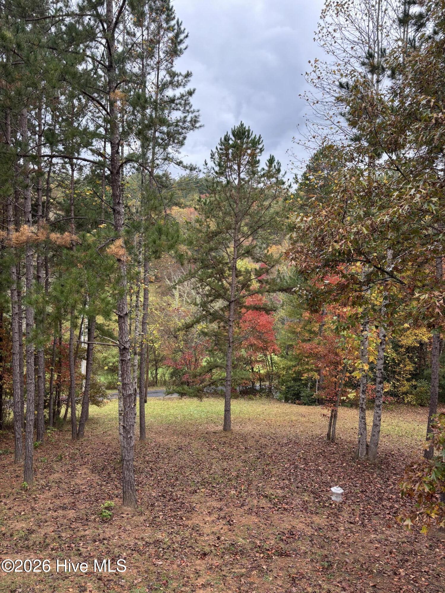 main property photo 50