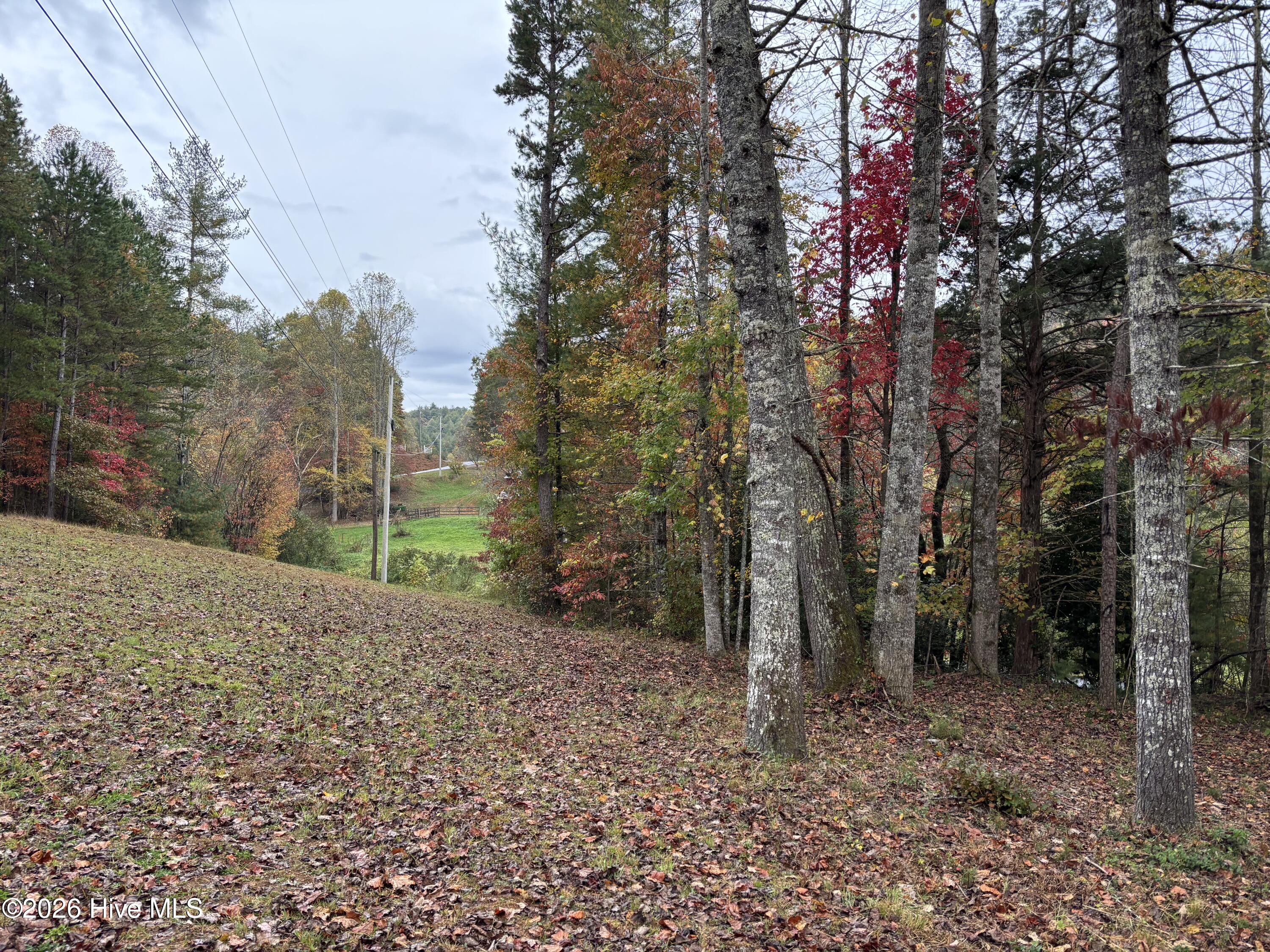 main property photo 51