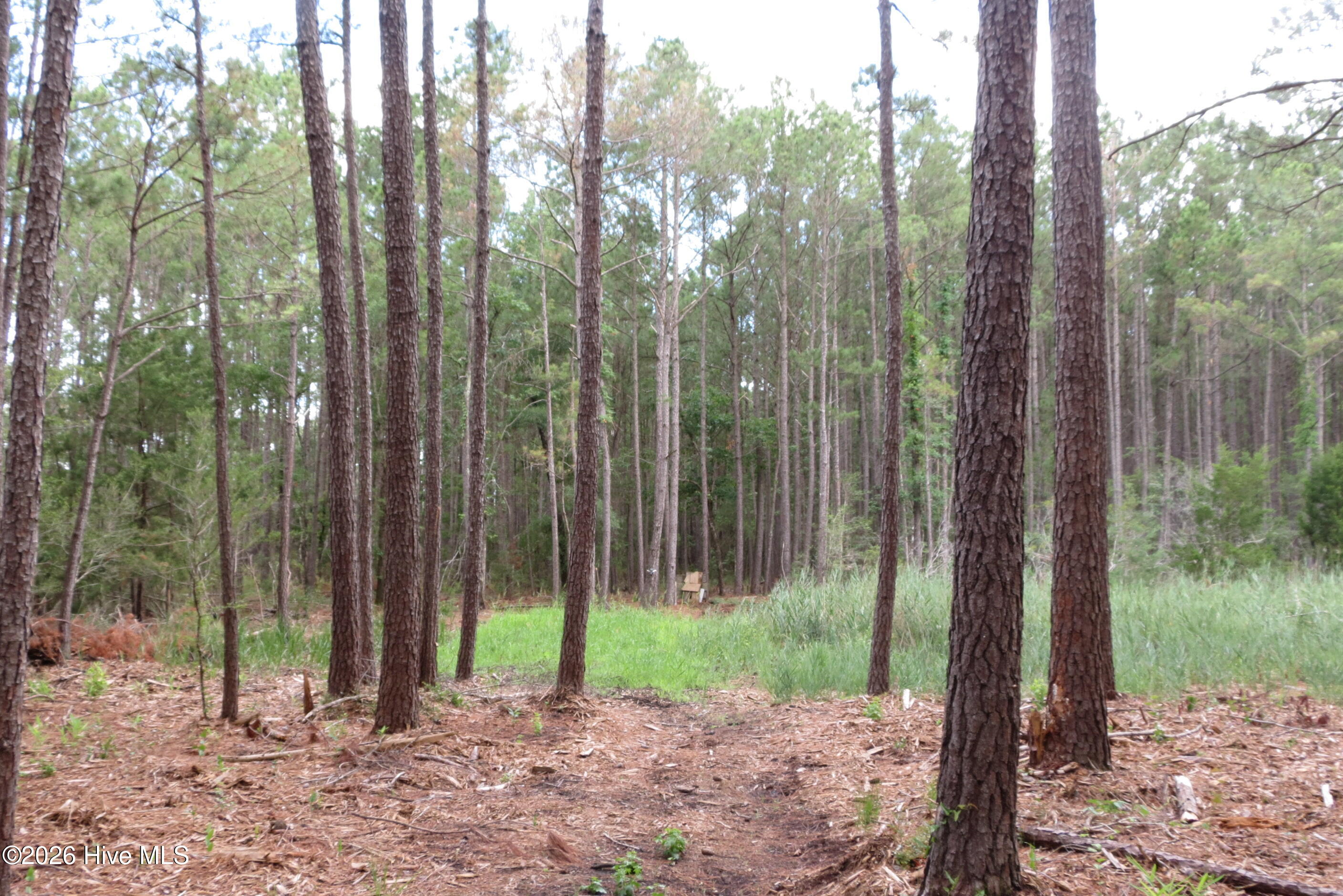 main property photo 10
