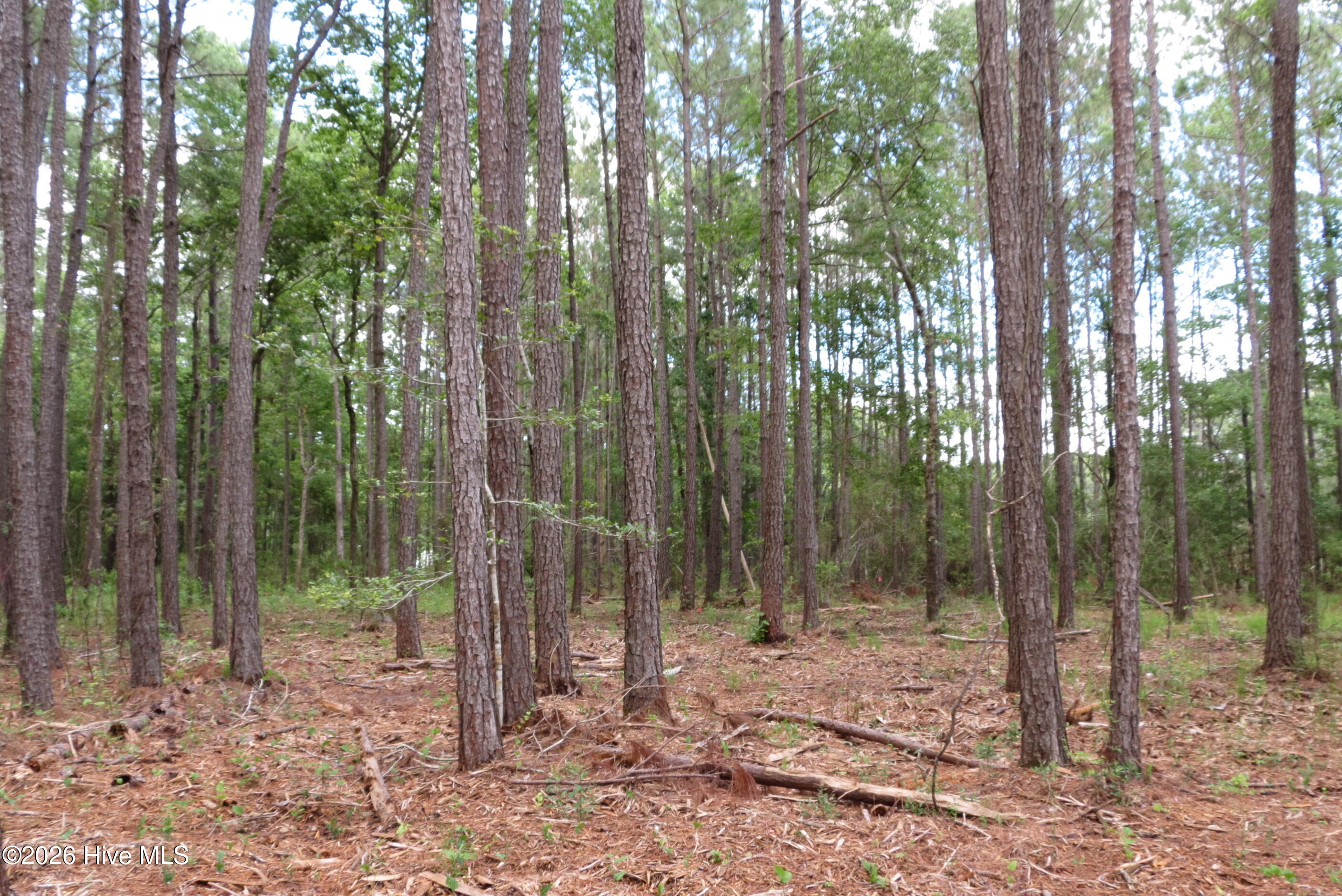 main property photo 12