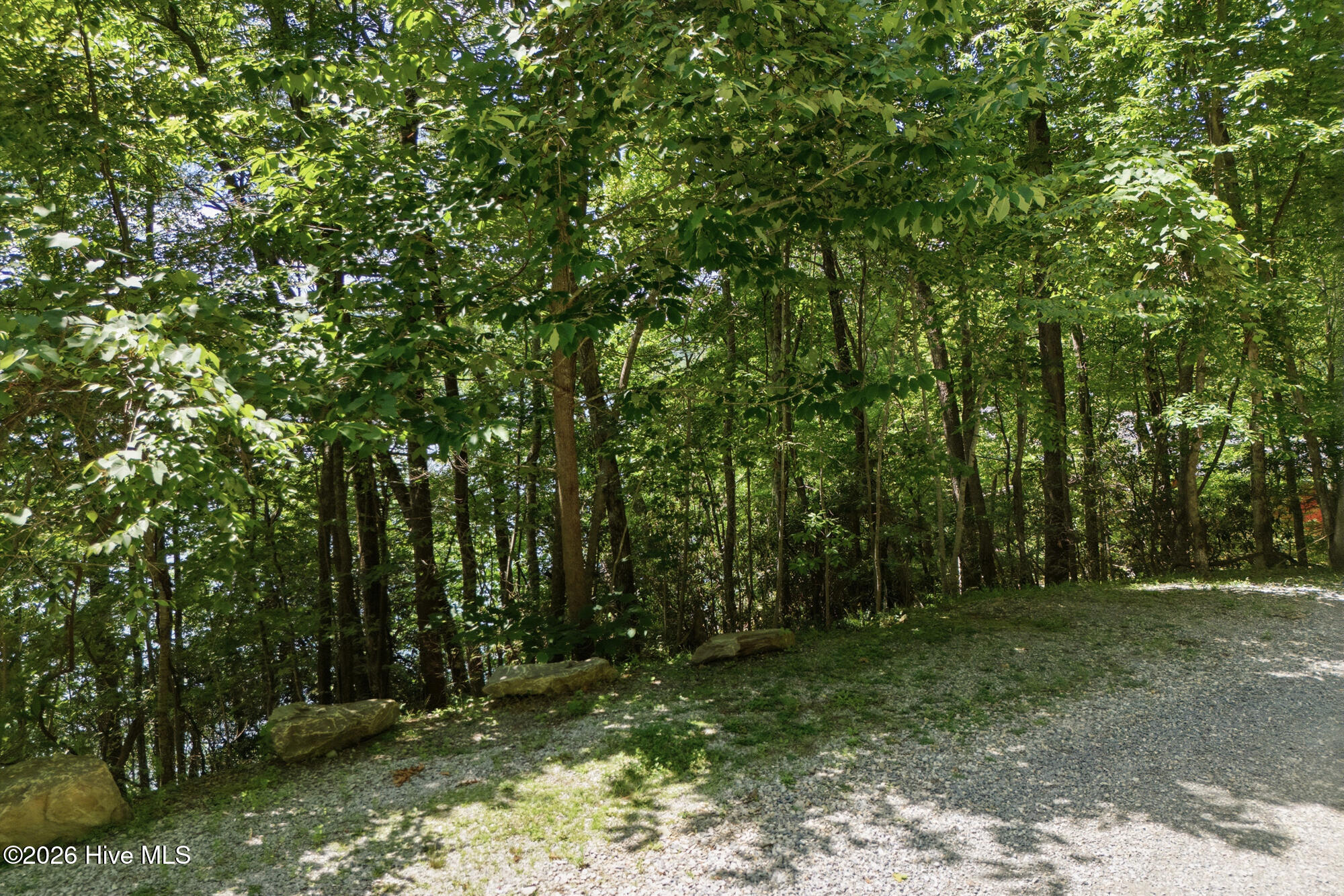main property photo 61