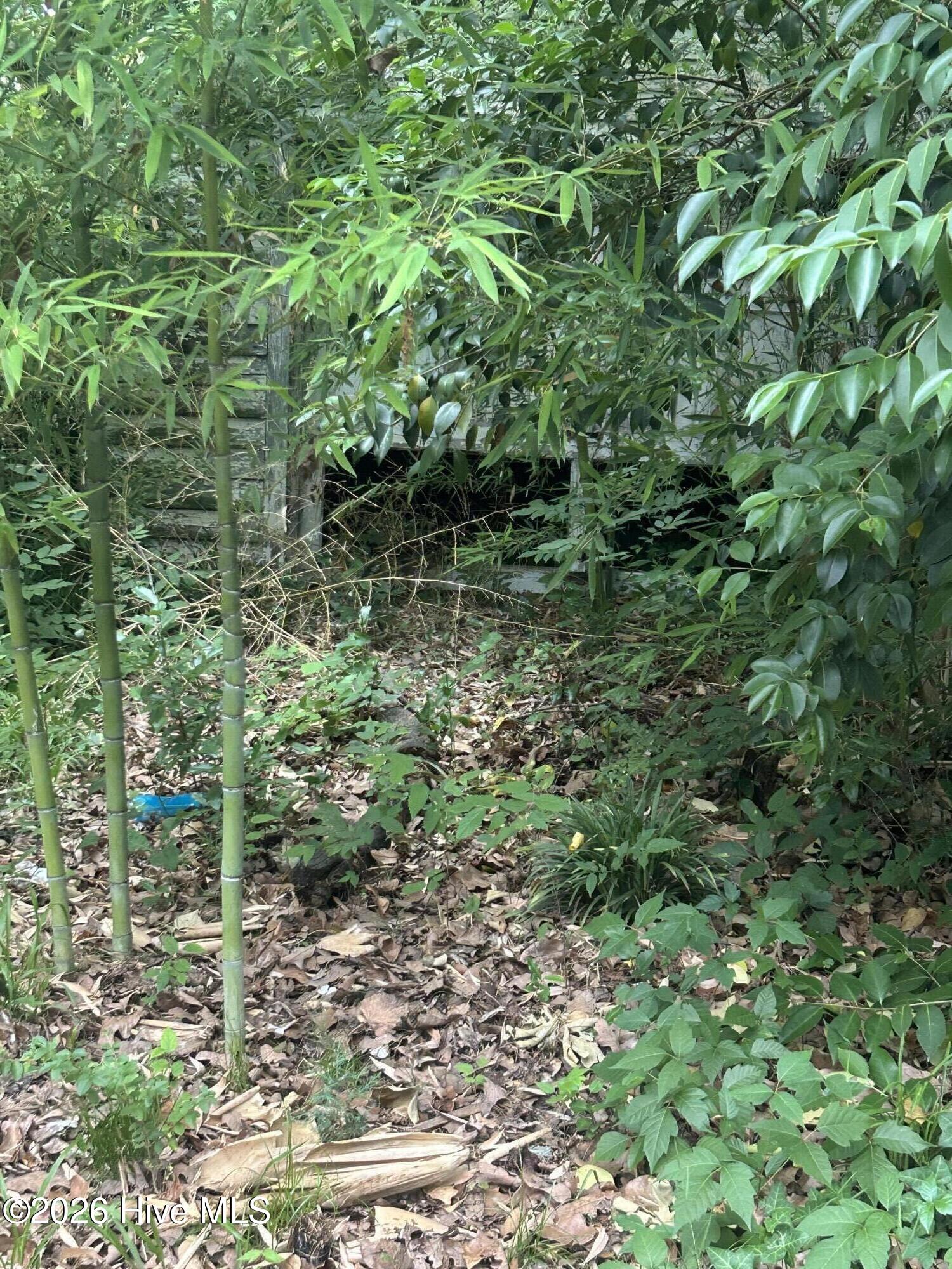 main property photo 67
