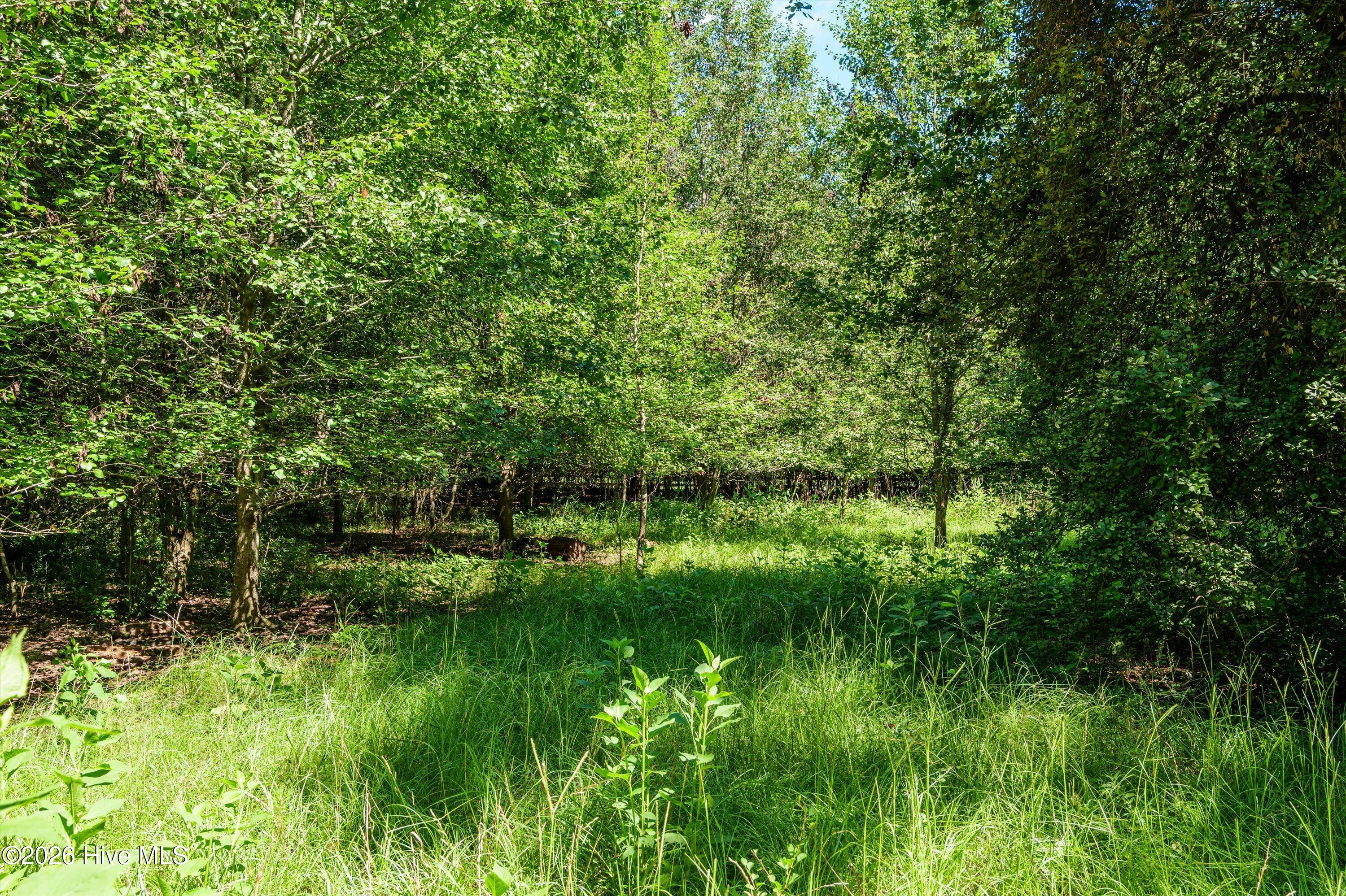 main property photo 36