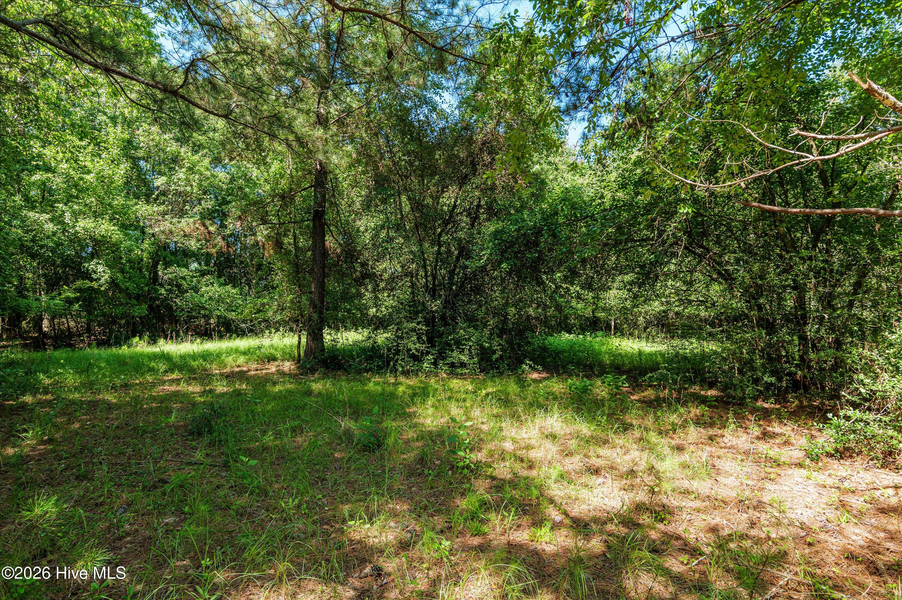 main property photo 38