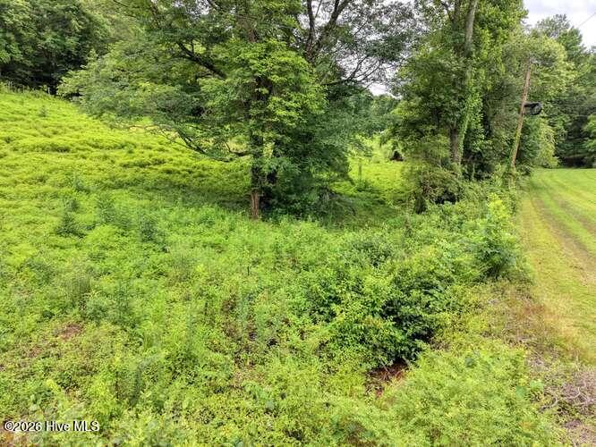 main property photo 40