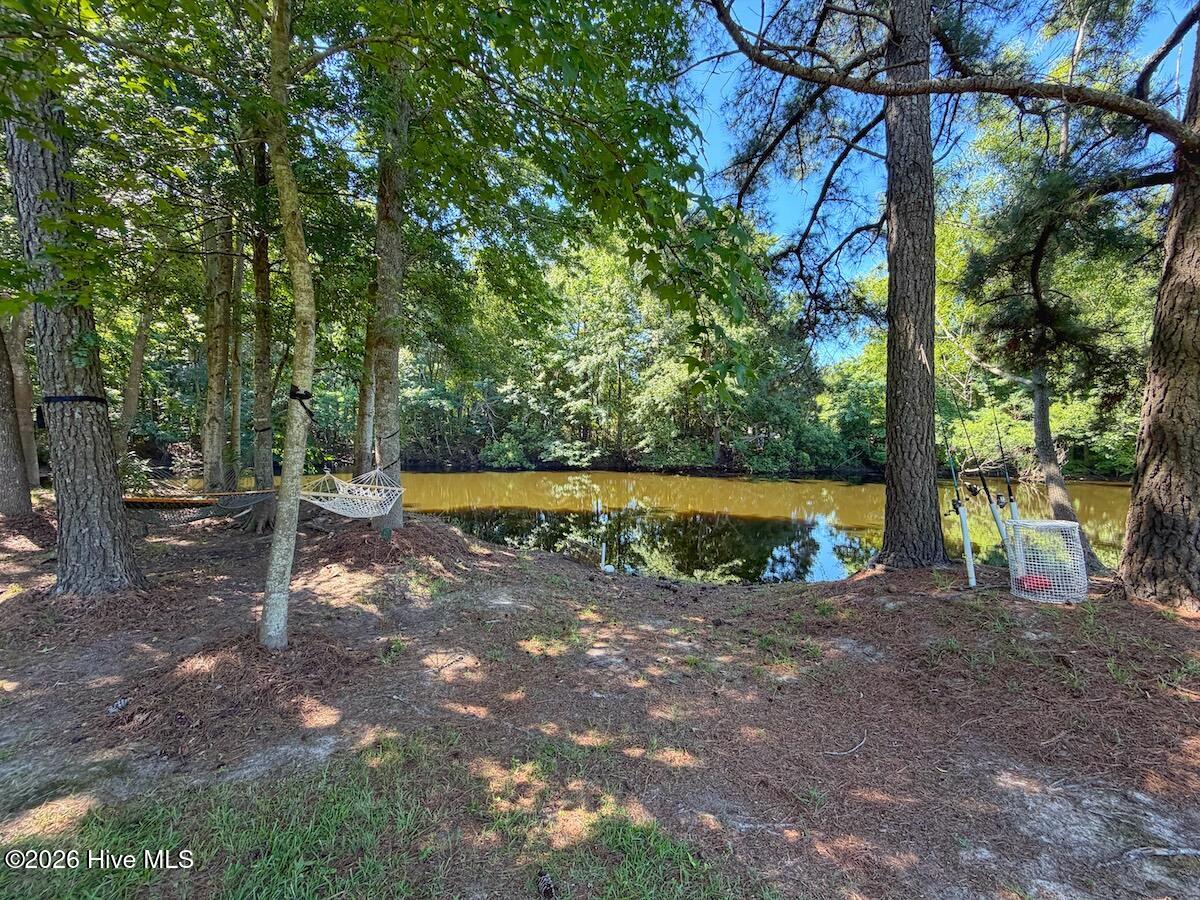 main property photo 58