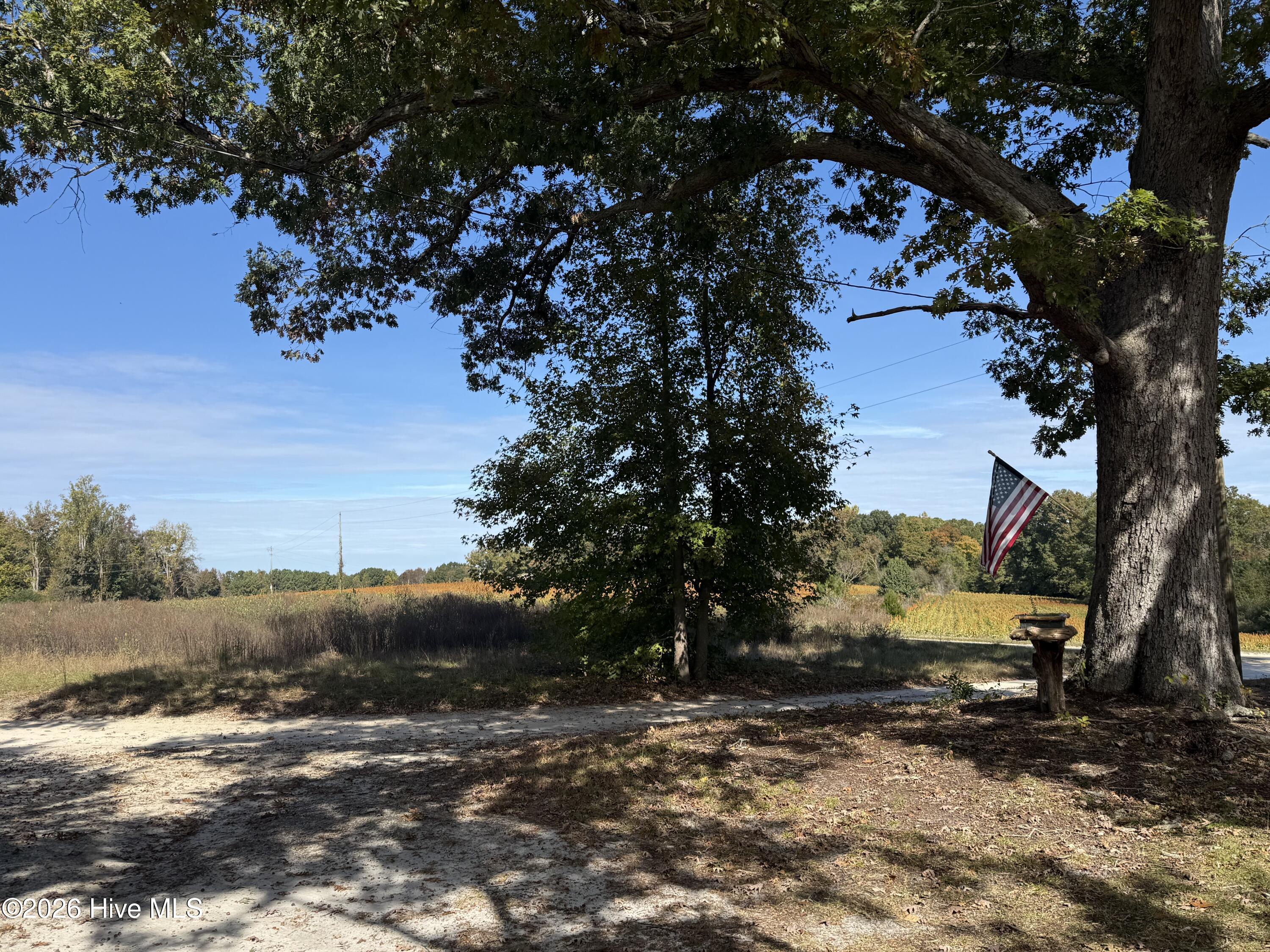 main property photo 39