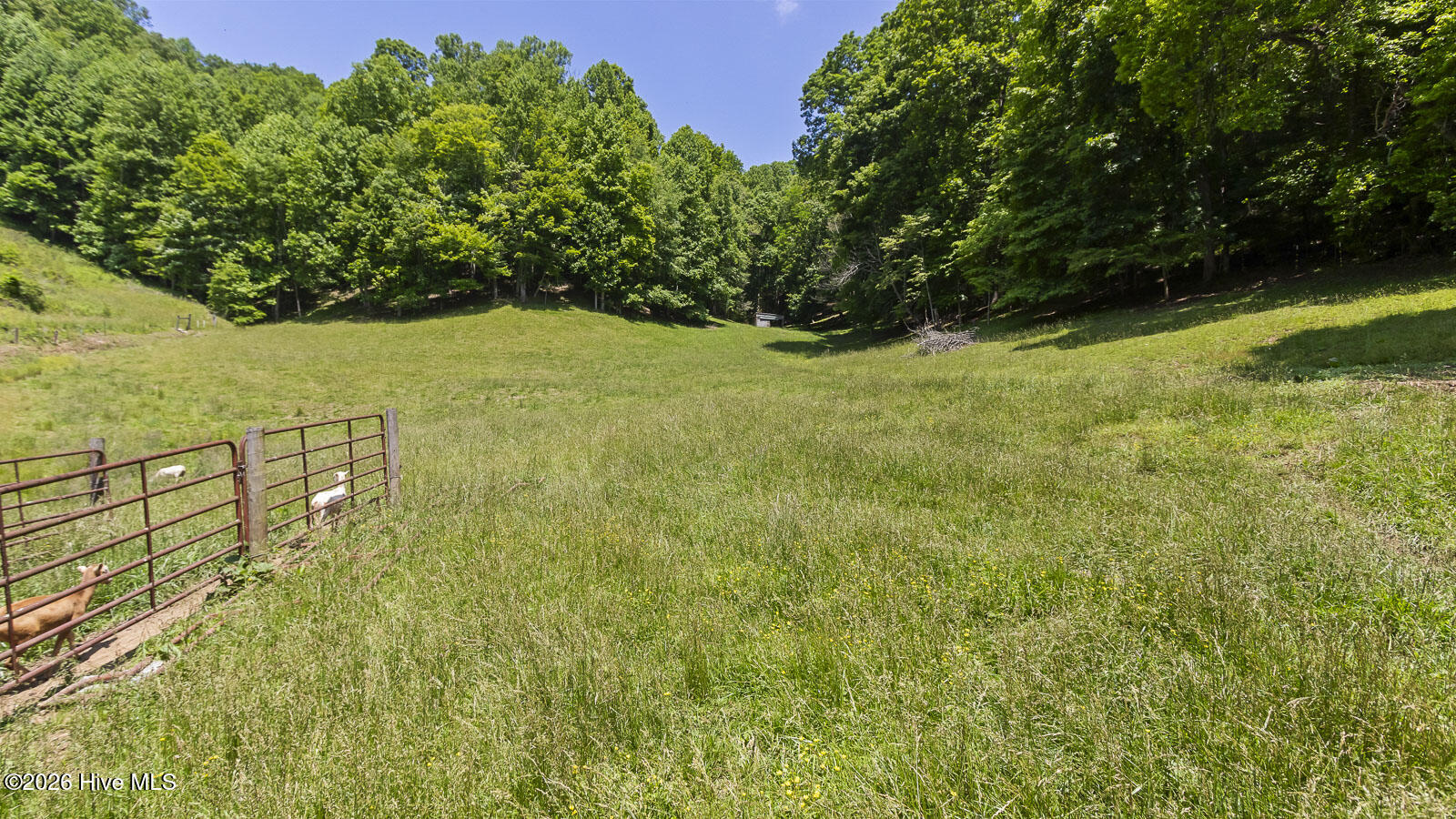 main property photo 108