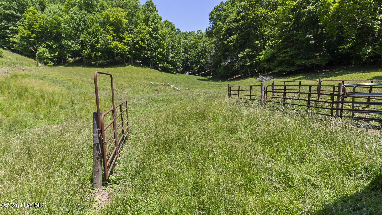 main property photo 118
