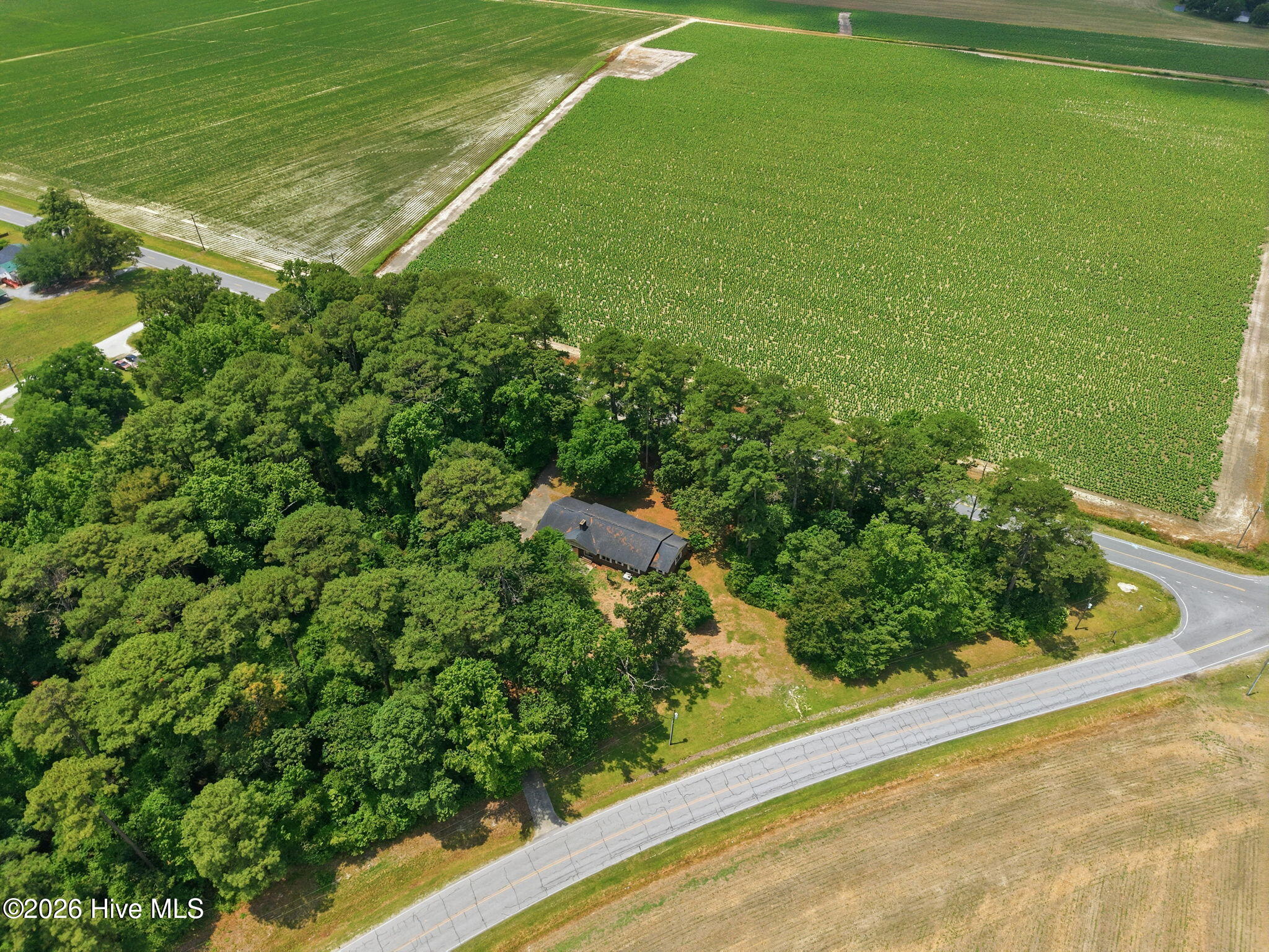main property photo 41