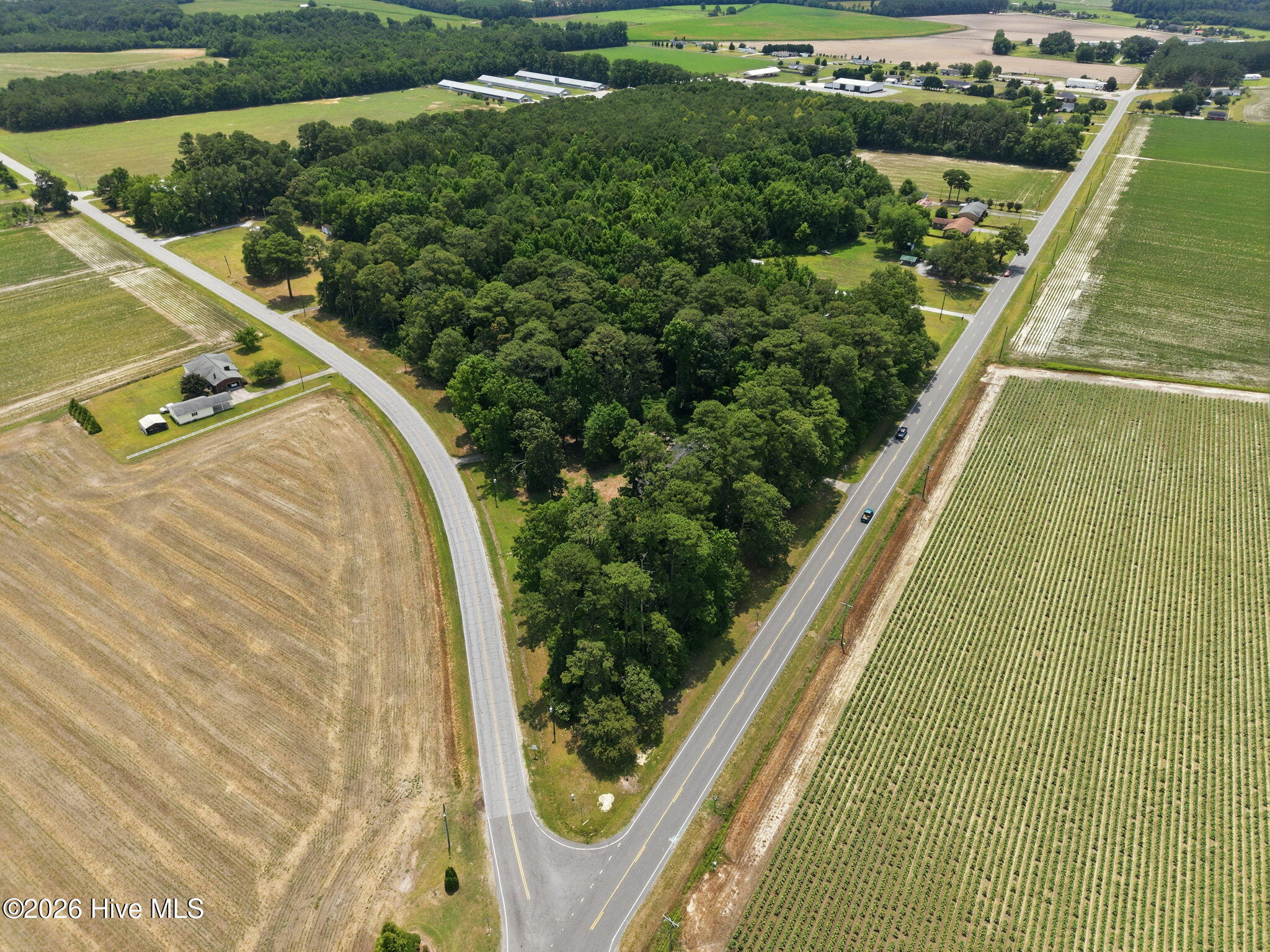main property photo 42
