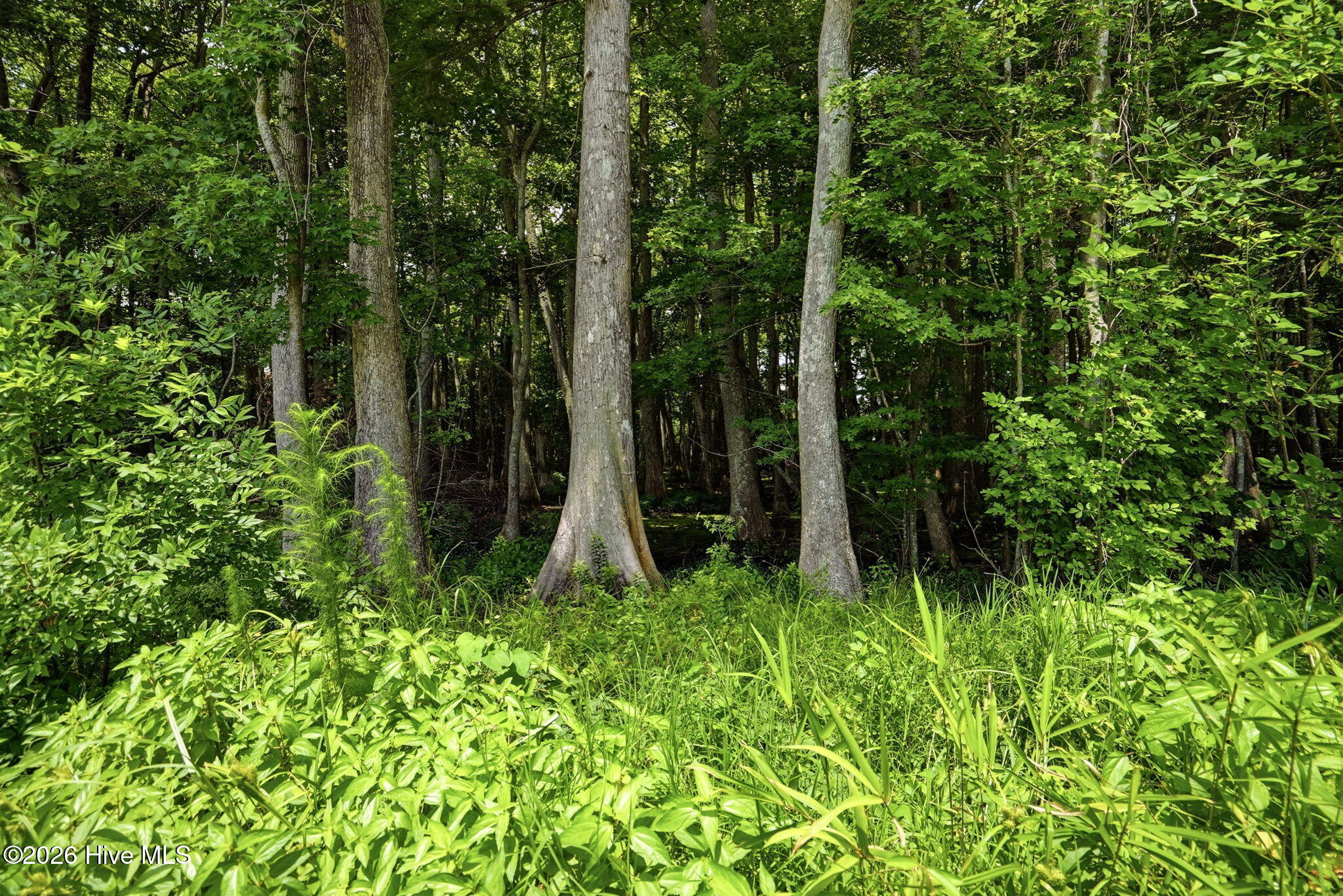 main property photo 74