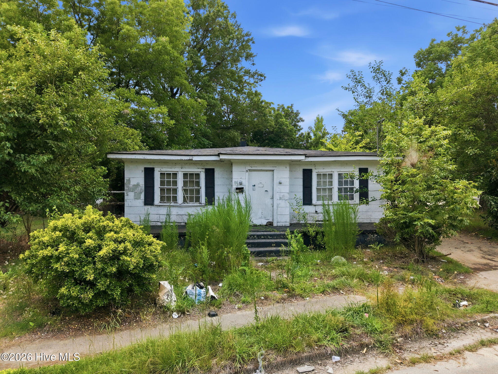 main property photo 1