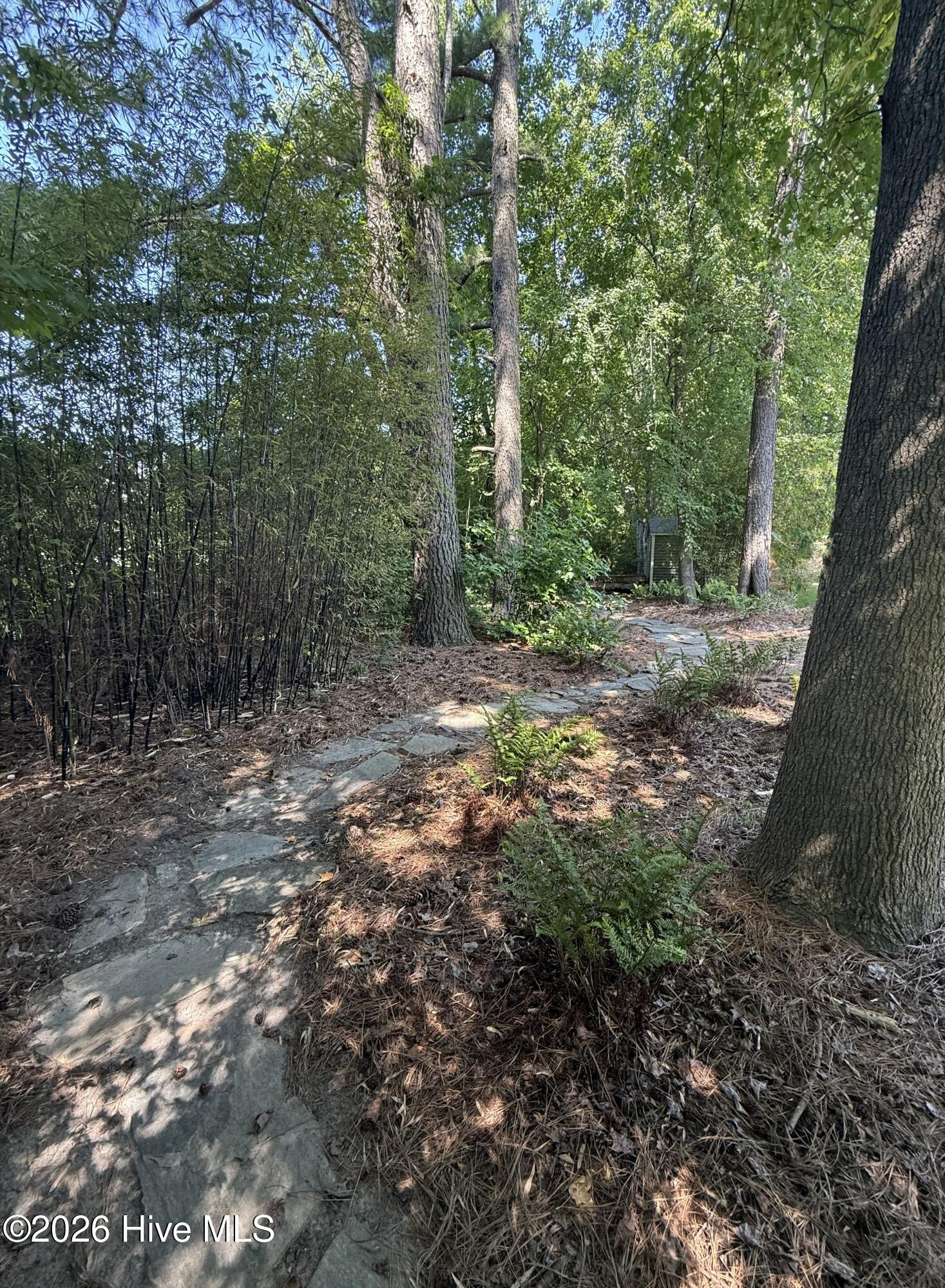main property photo 44