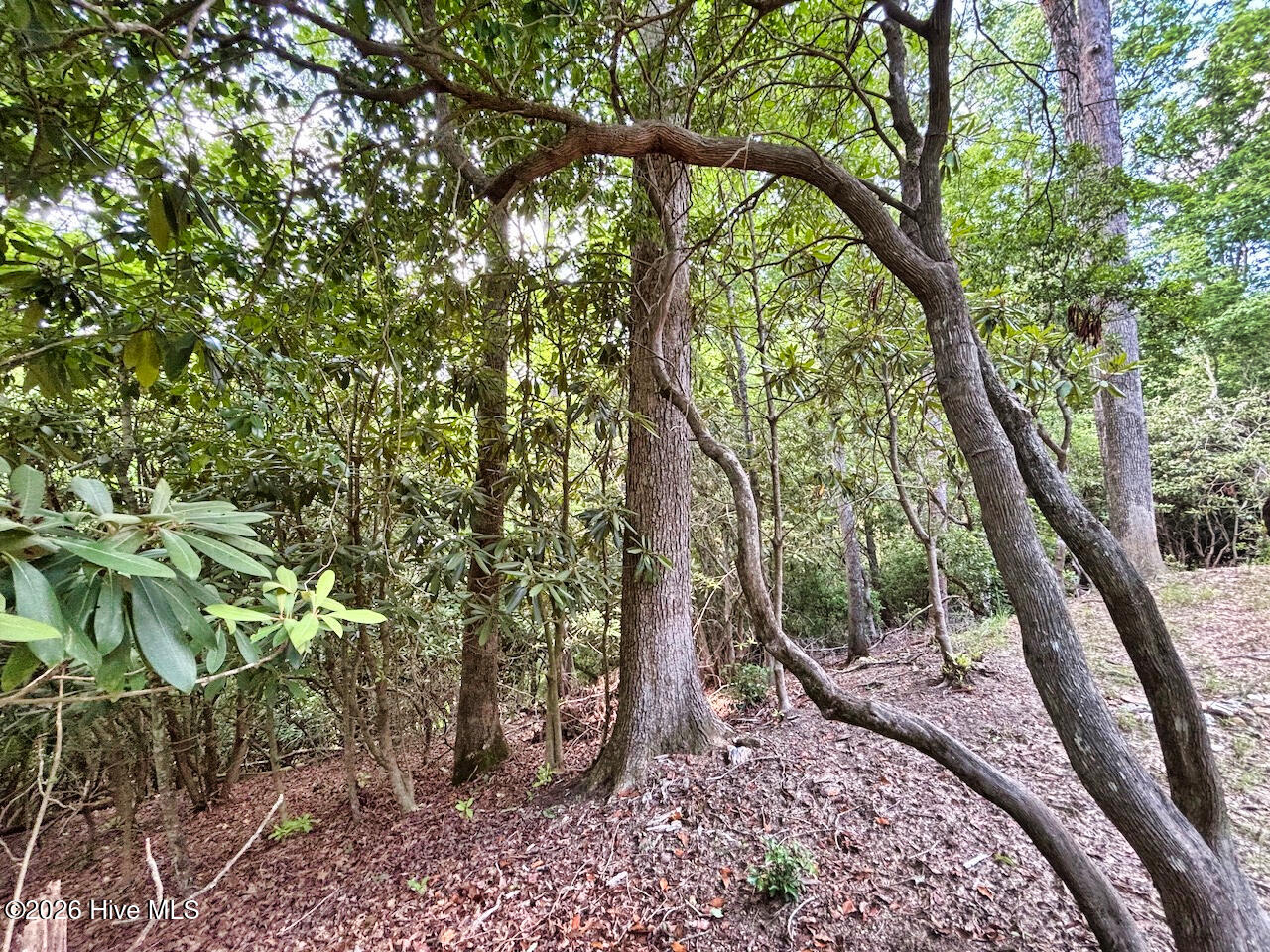 main property photo 18