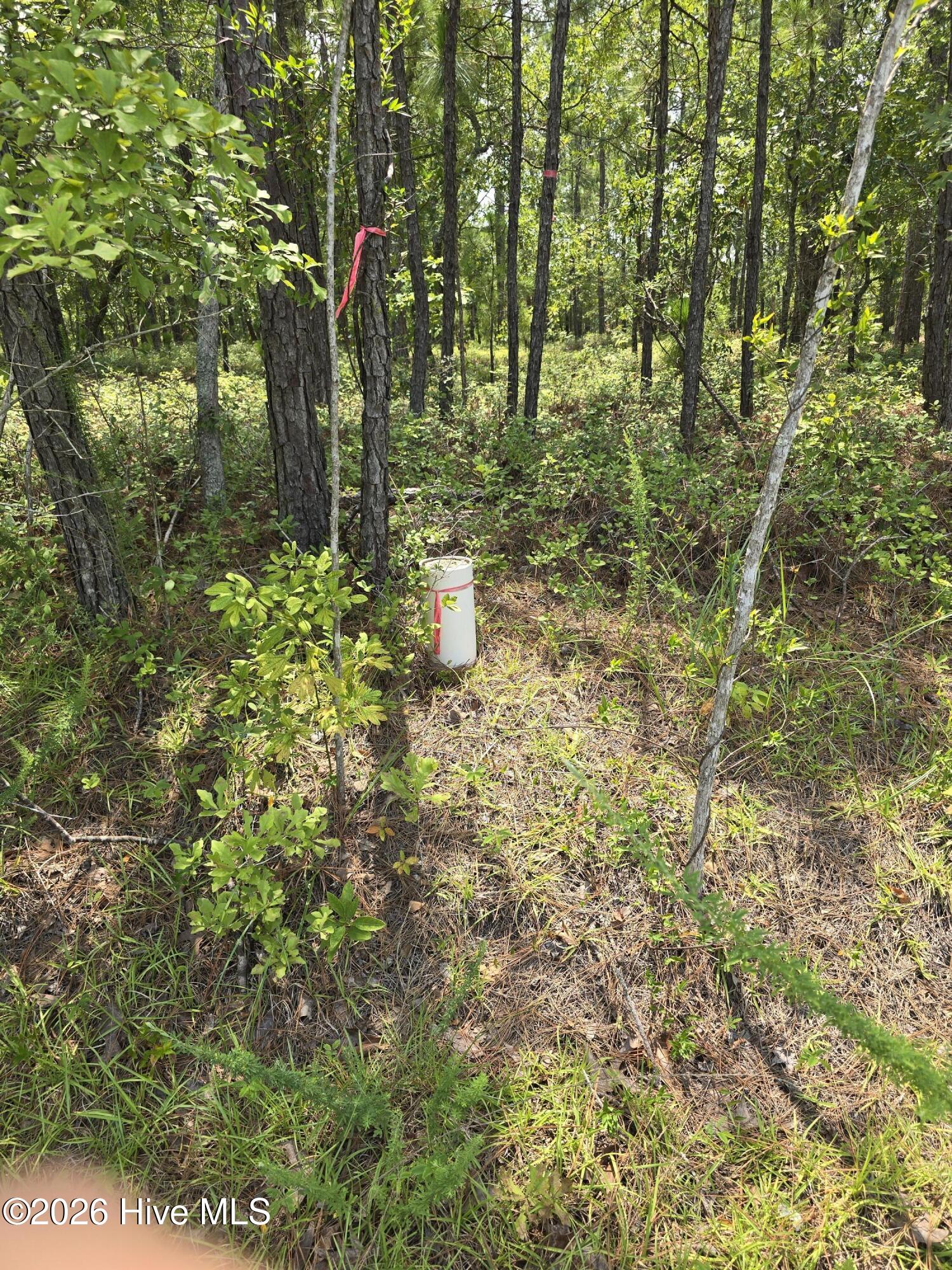 main property photo 10