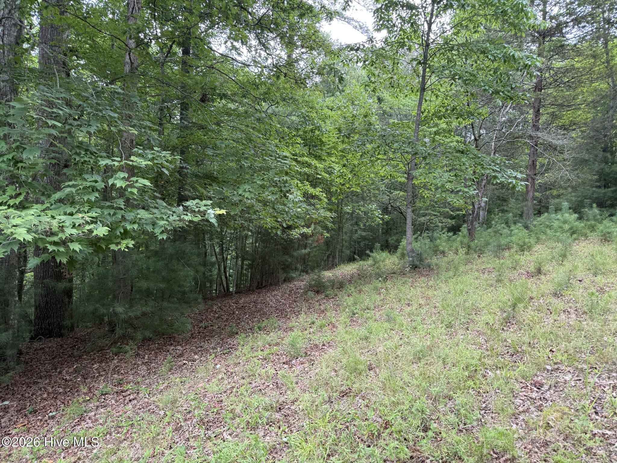 main property photo 8