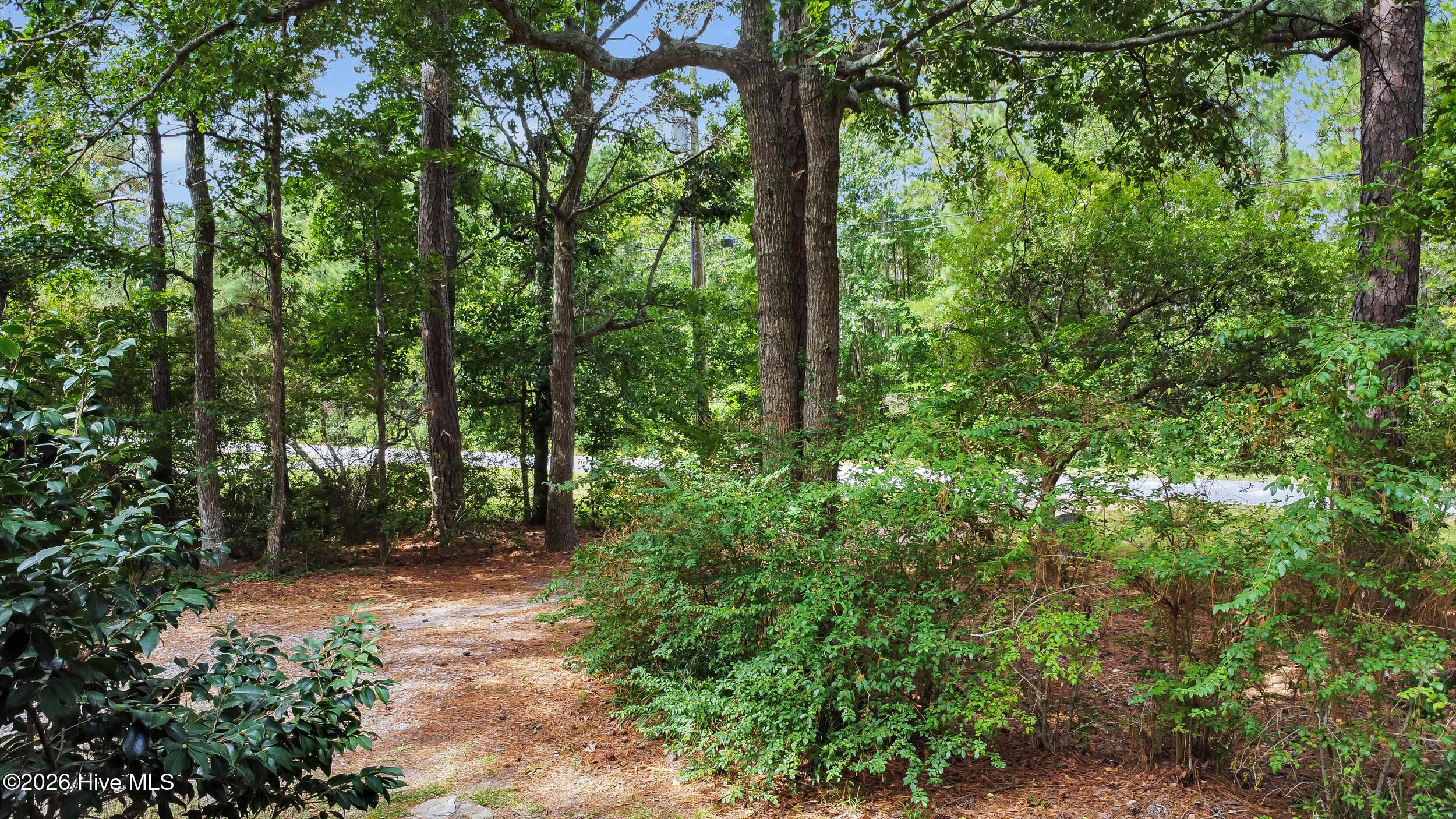 main property photo 34