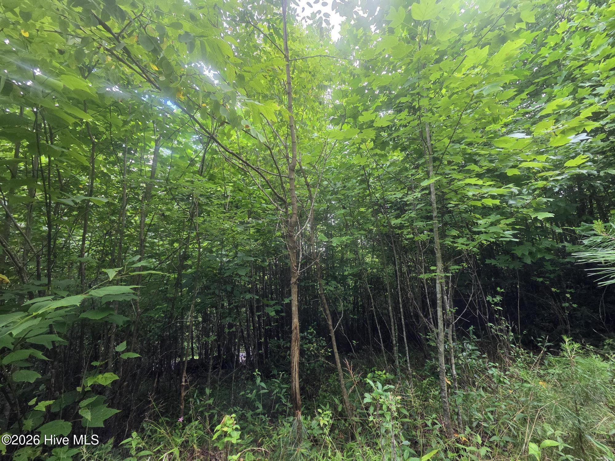 main property photo 13
