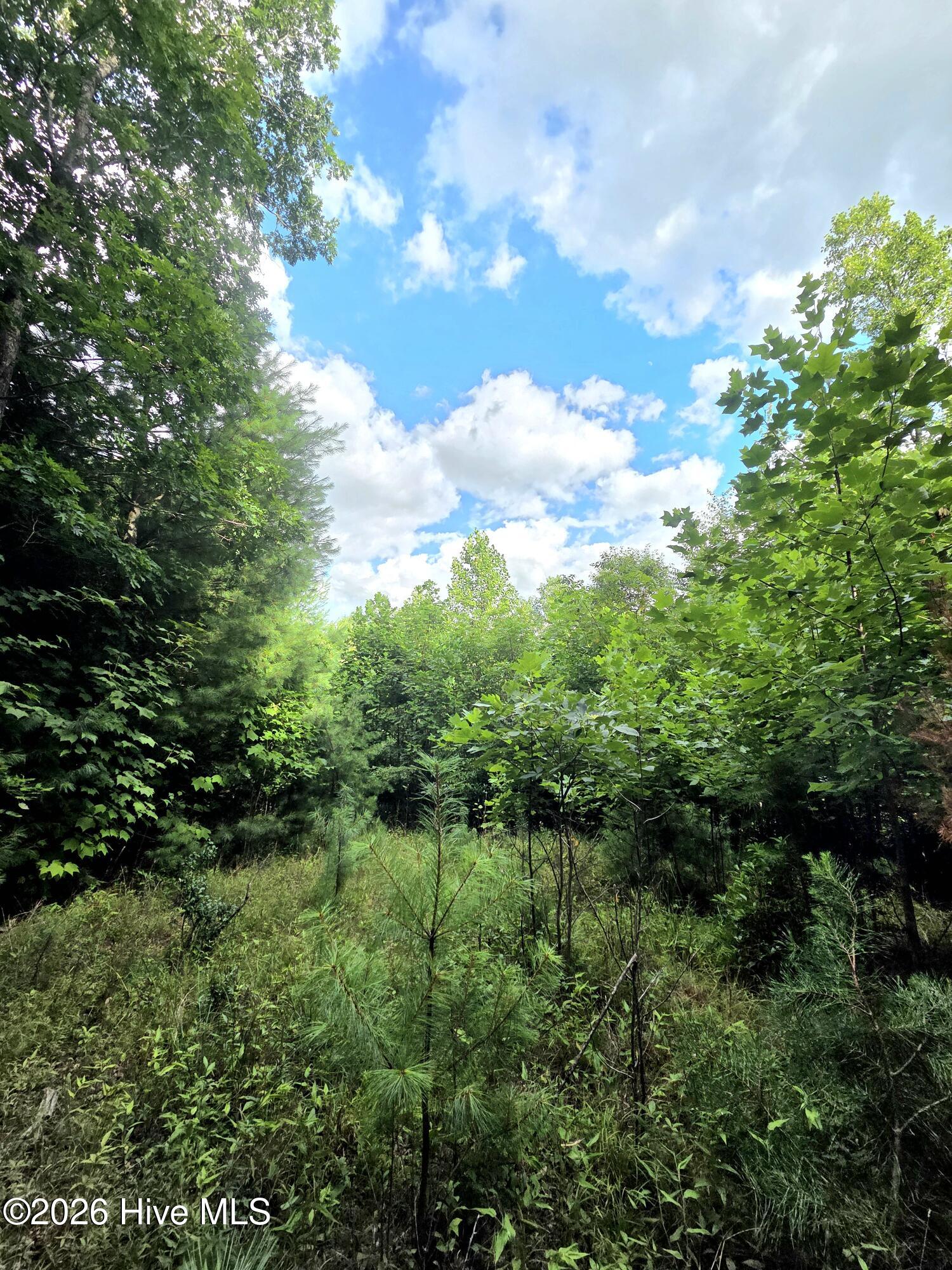 main property photo 15