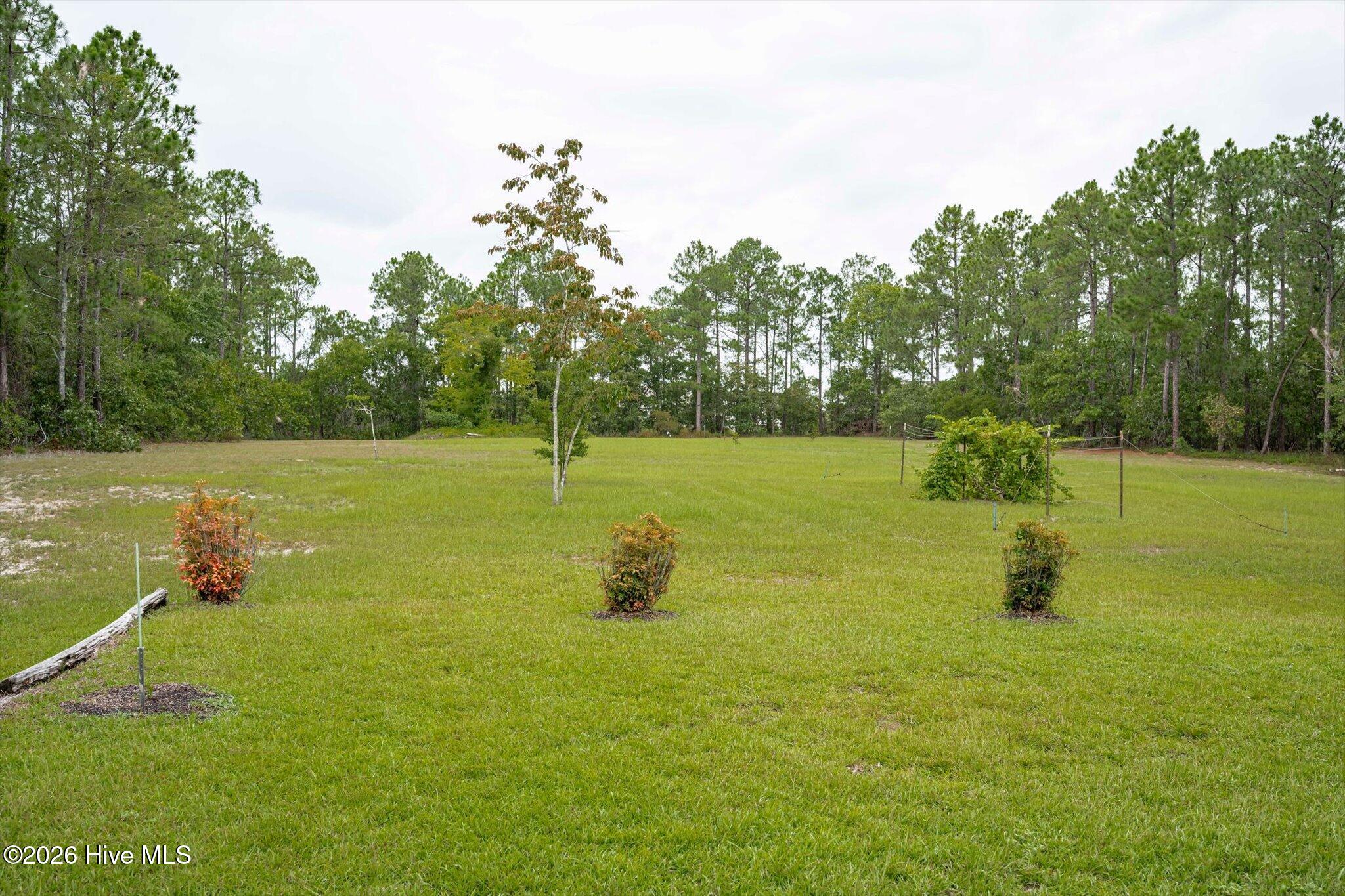 main property photo 41