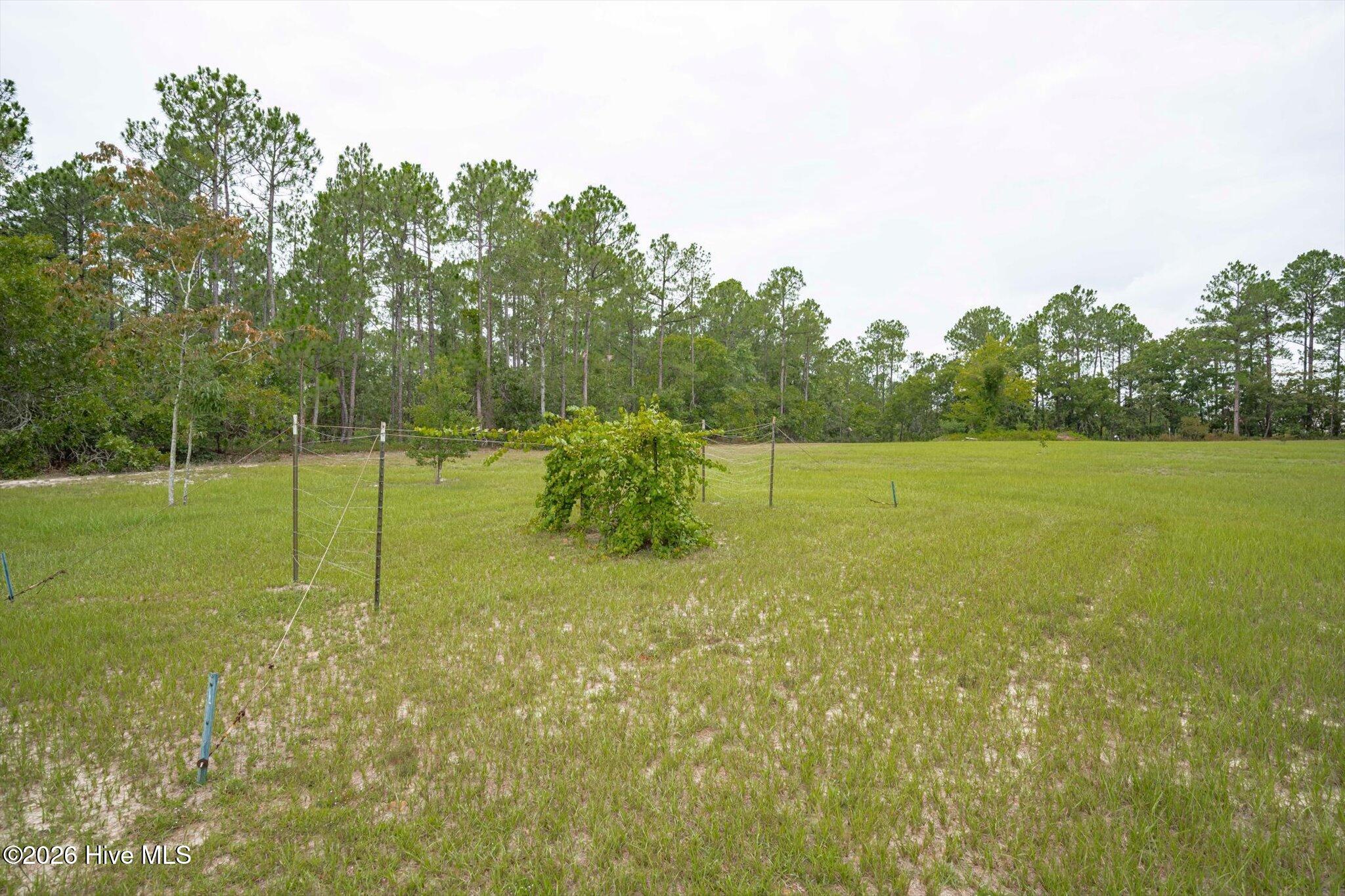 main property photo 42