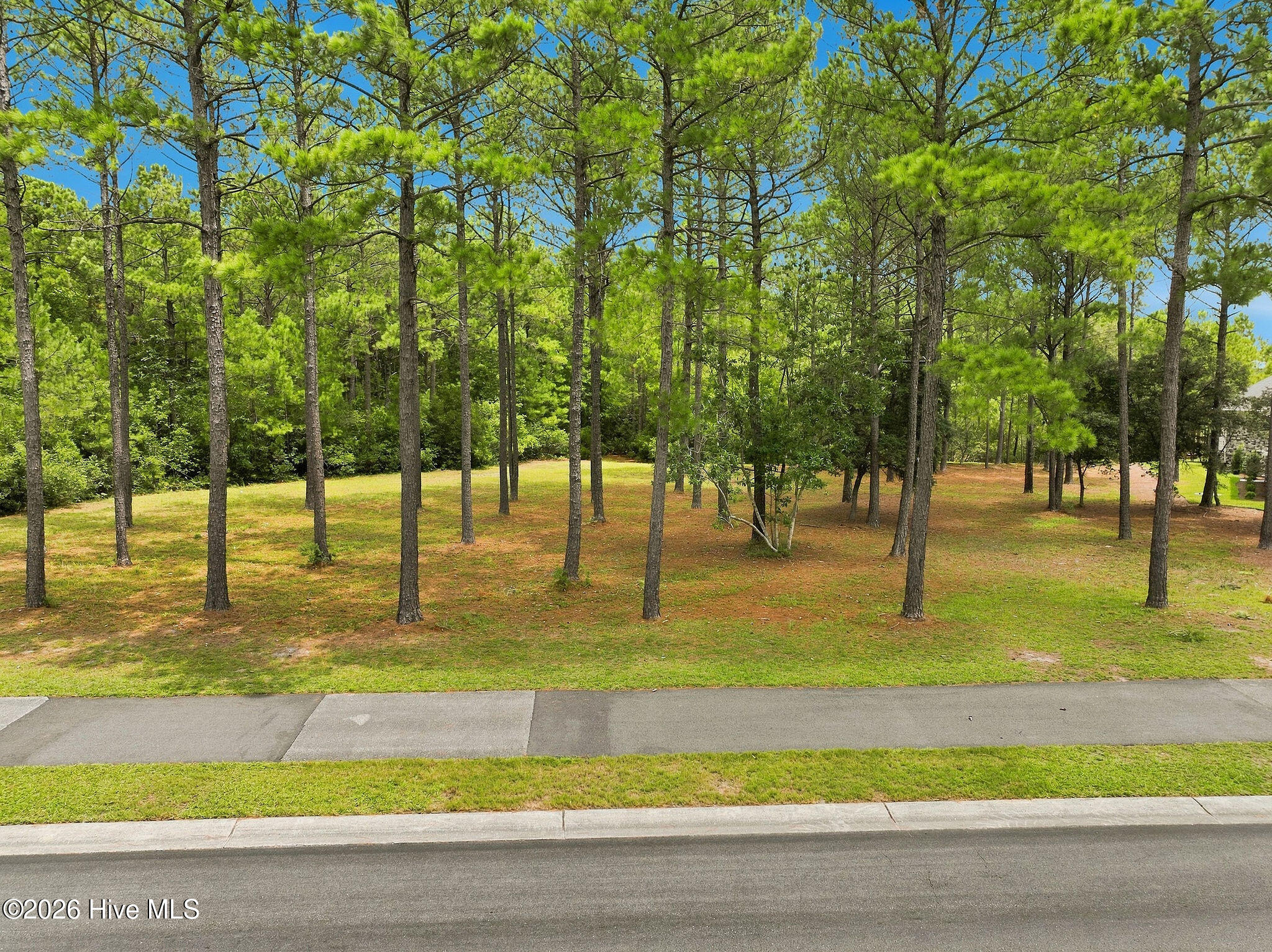 main property photo 40