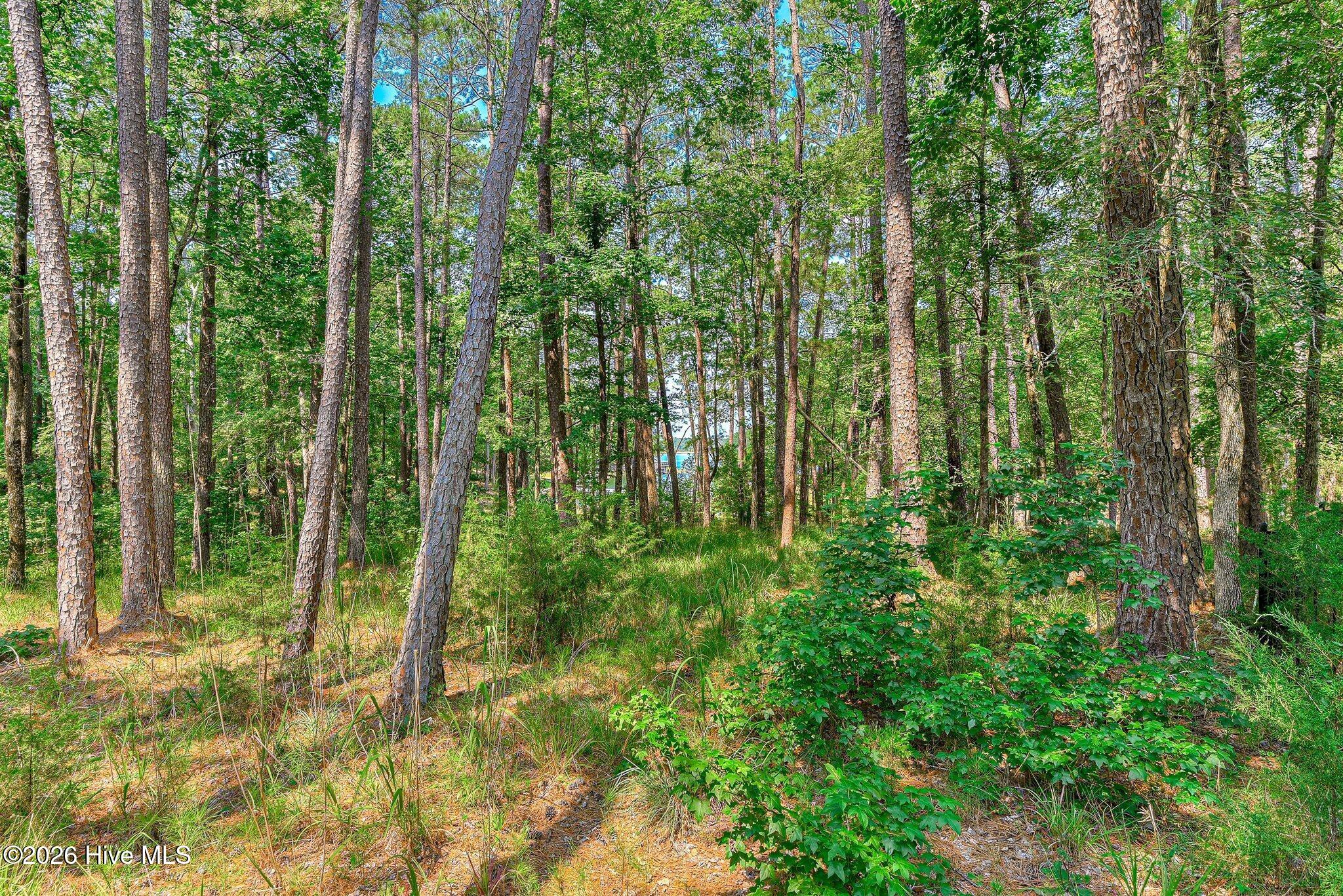 main property photo 49