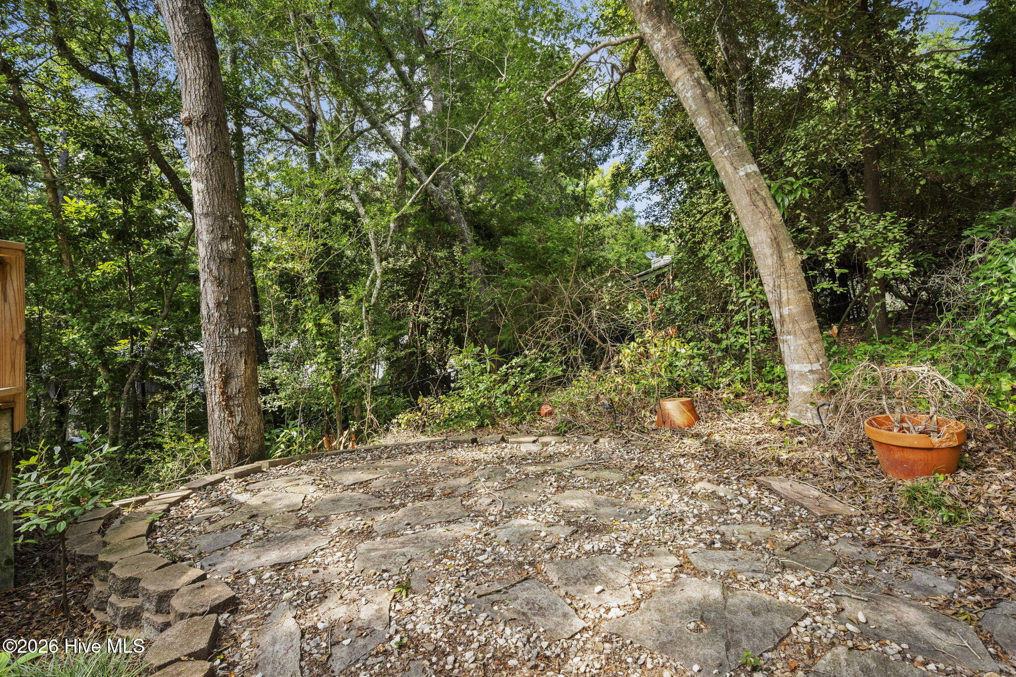 main property photo 54