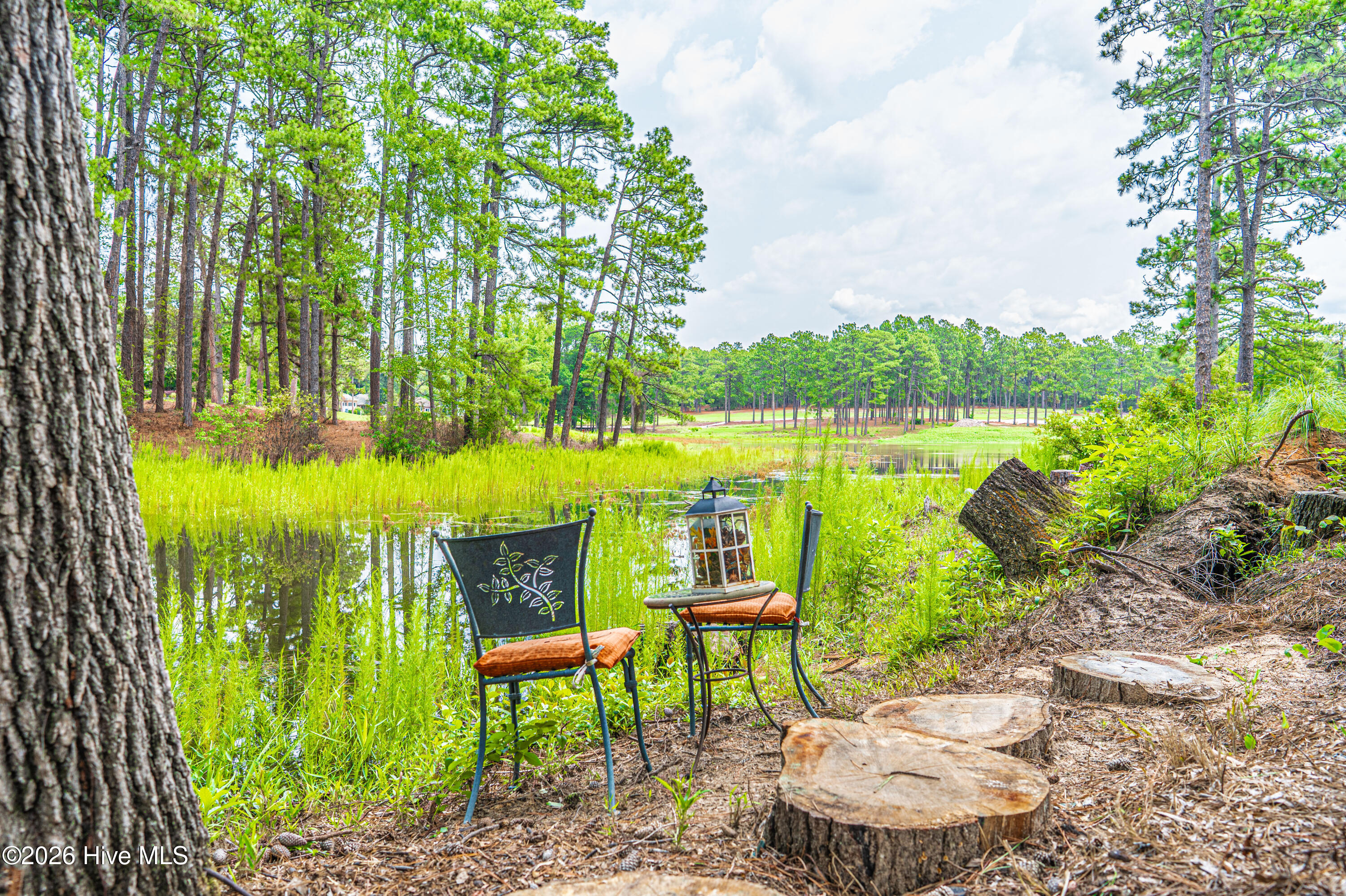 main property photo 73