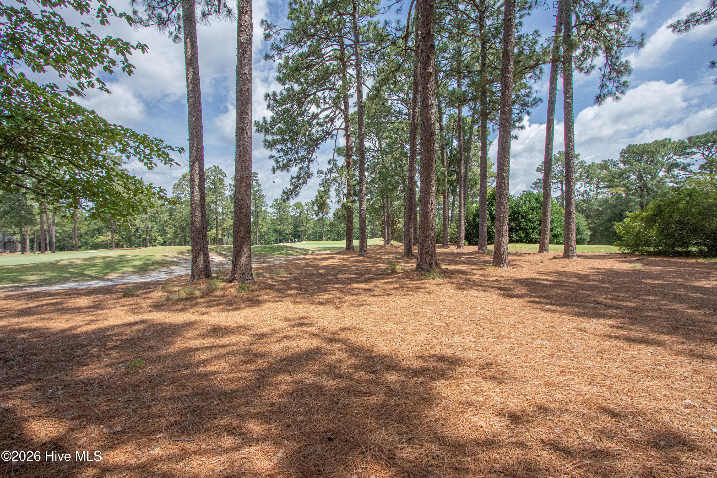main property photo 59