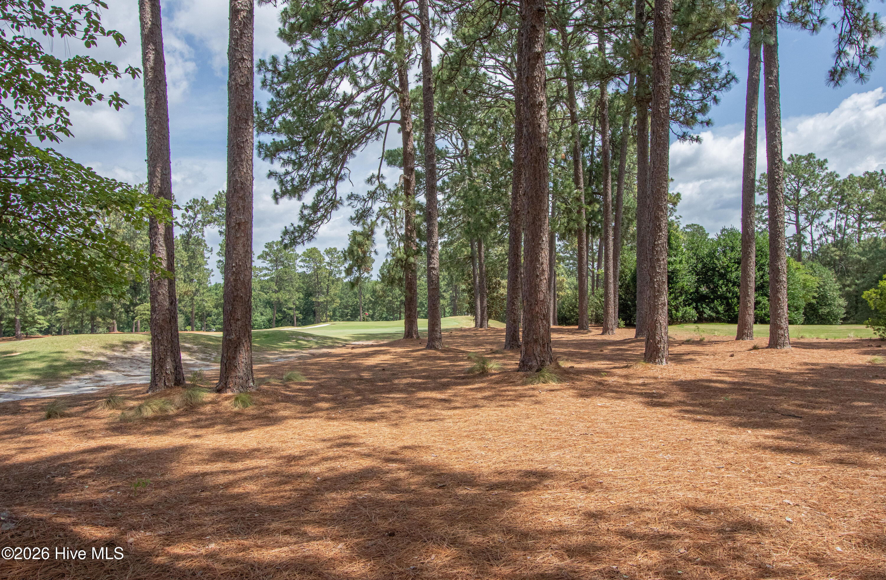 main property photo 60